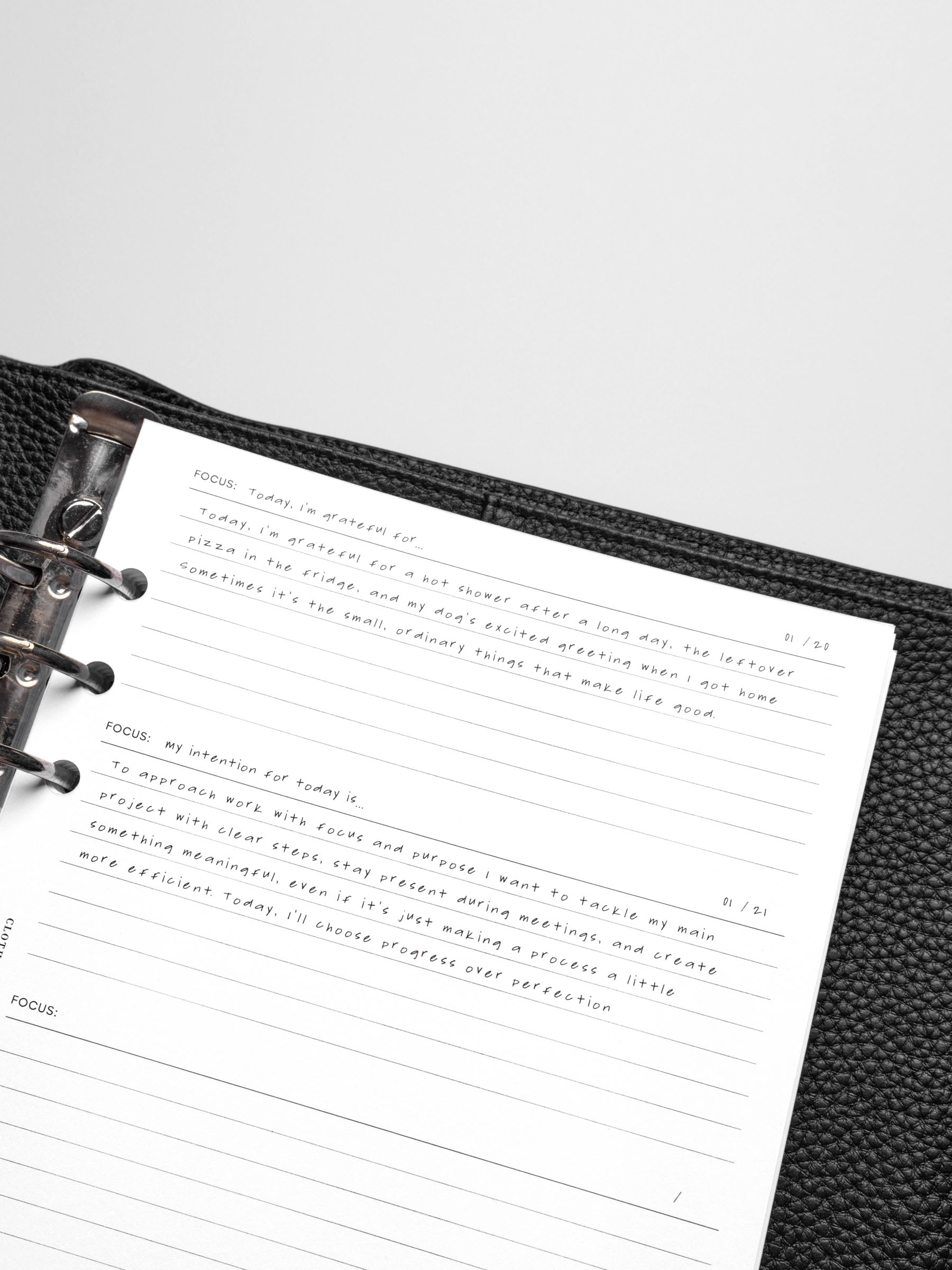 Insert in use inside a black leather planner.