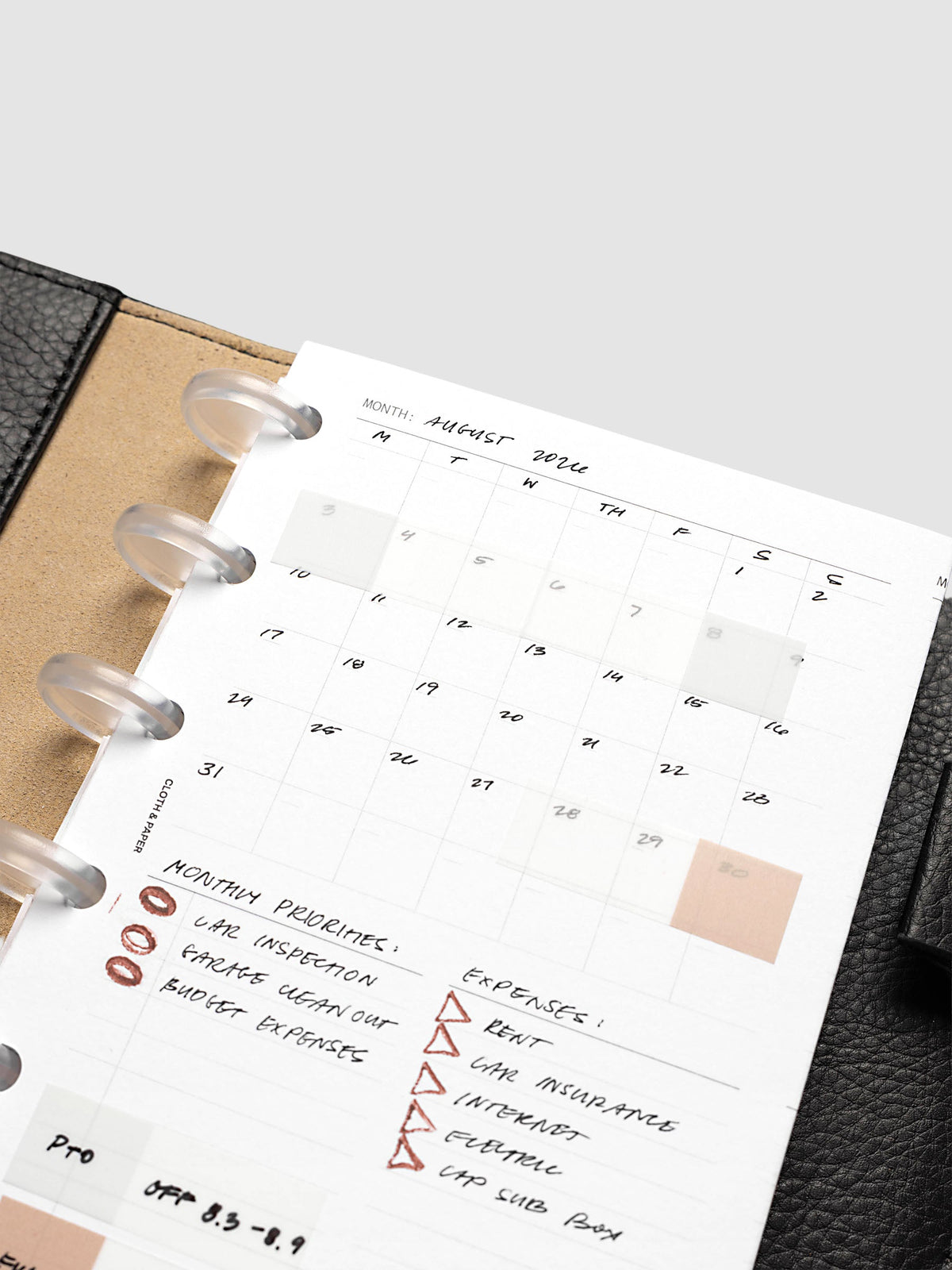Monthly Fold Out Planner Insert Set of 2, CP Petite 6-Disc Punch, angled close-up of the handwritten August page, frosted clear discs at the left and a peach block marking one date near the end of the month