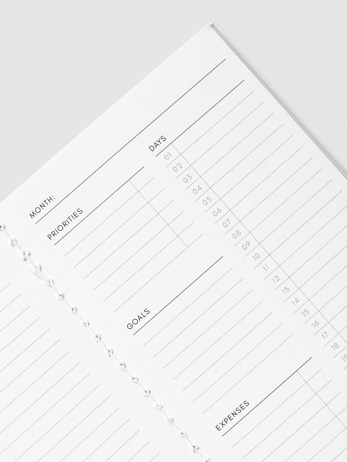 Angled close-up of the Month, Priorities, Goals and Days sections on the Monthly Overview Pocket Plus page
