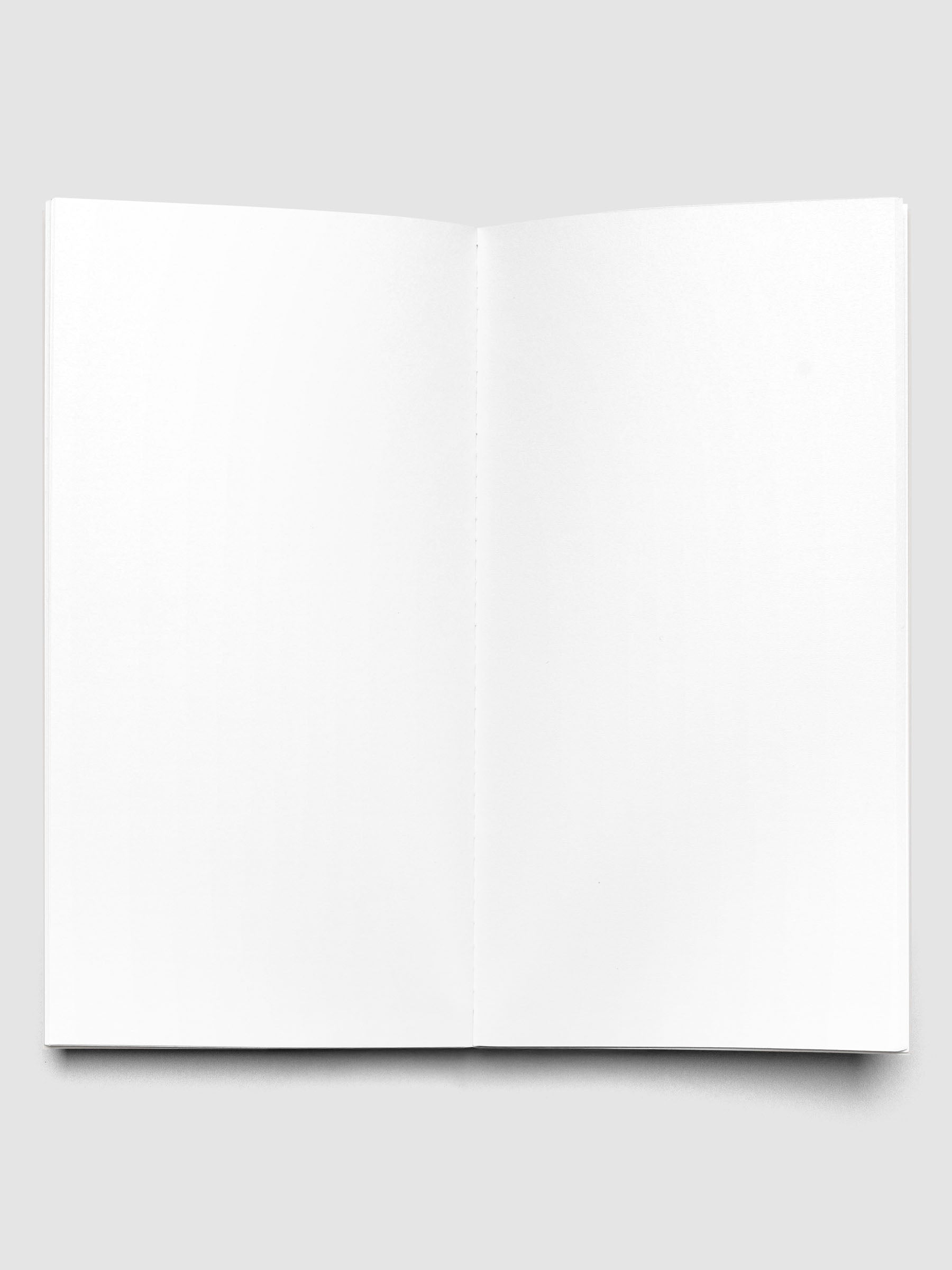 Interior of Travel Notebook in size A5 Slim in color Angora with Blank pages.