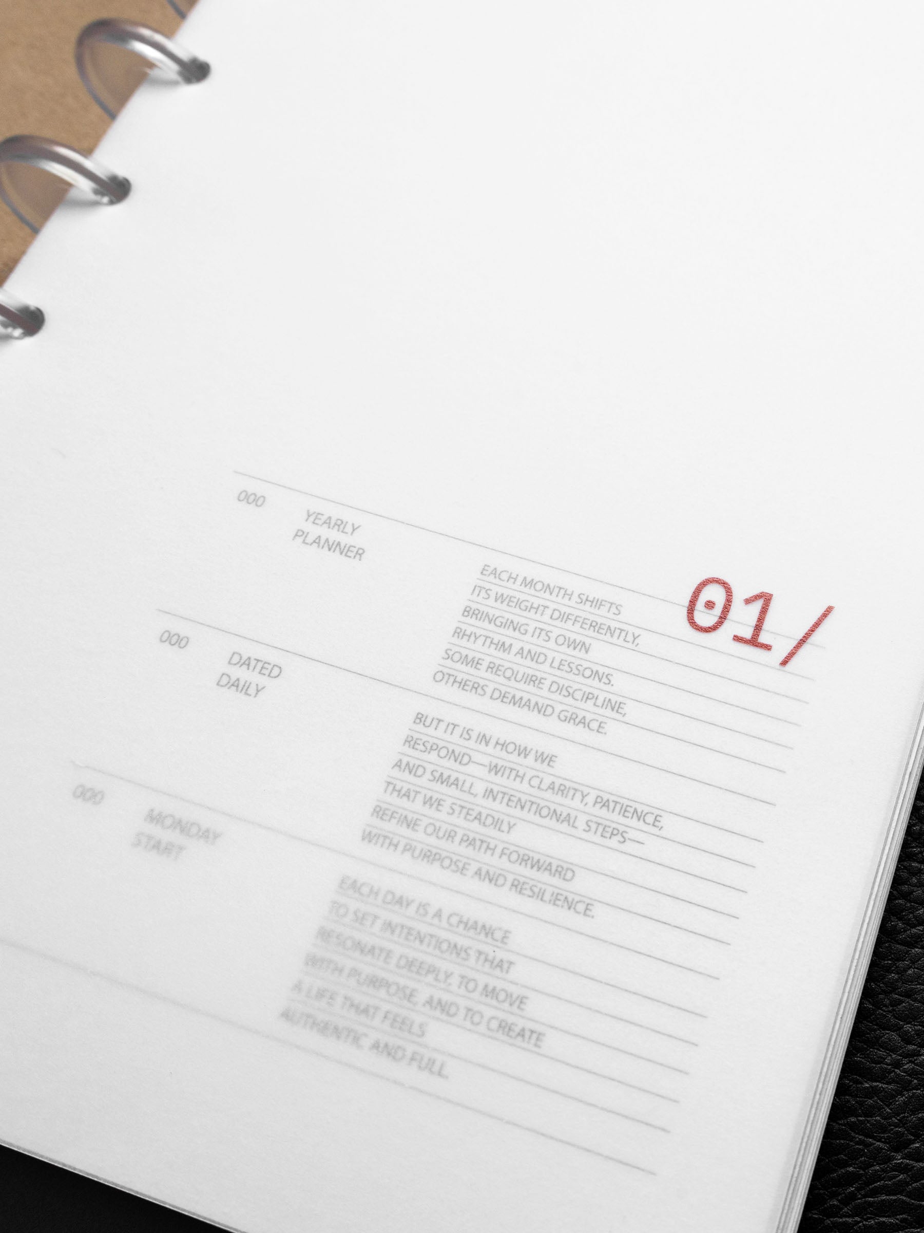 Image shows the vellum dashboard for January used in a Half Letter planner.