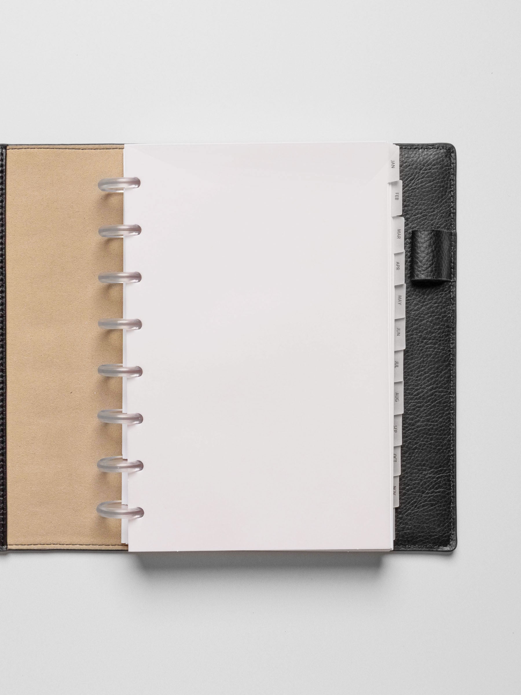 Half Letter vellum dividers shown on a grey background.