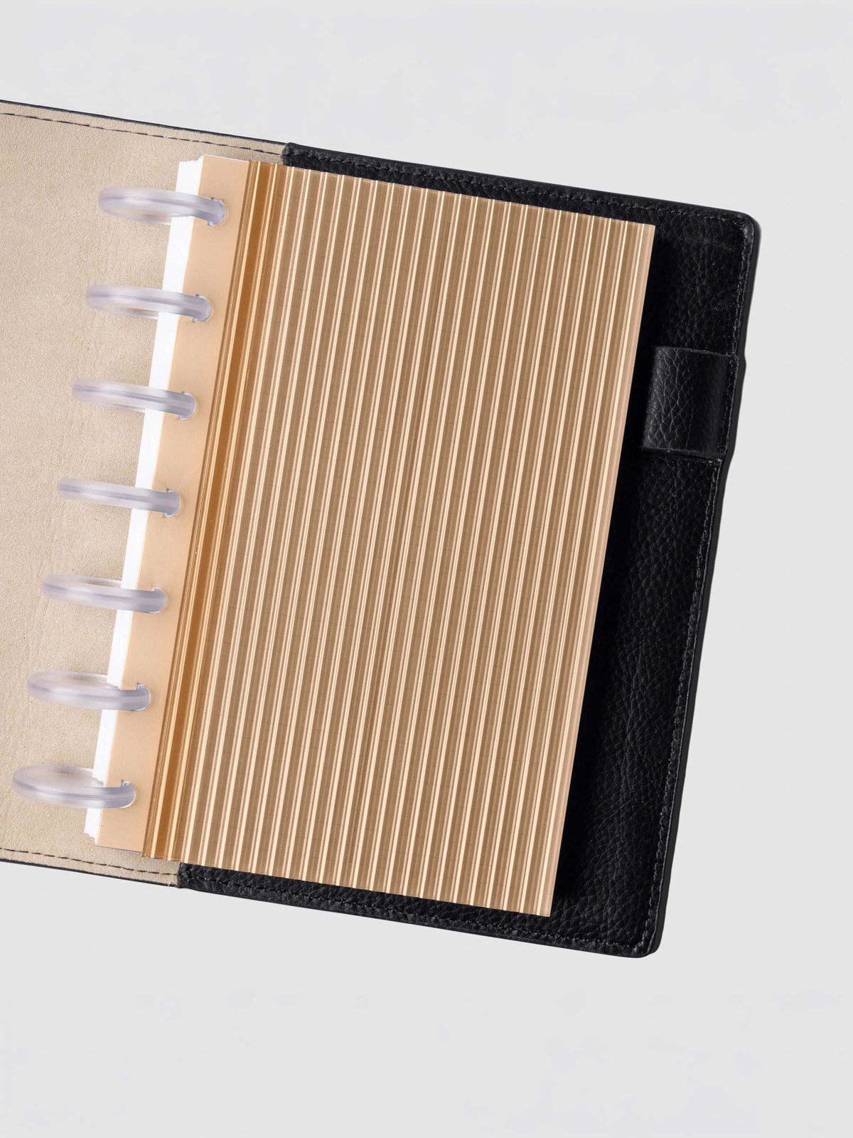 Bisque fluted planner dashboard in HP Mini size shown in a black leather discbound cover with clear discs.