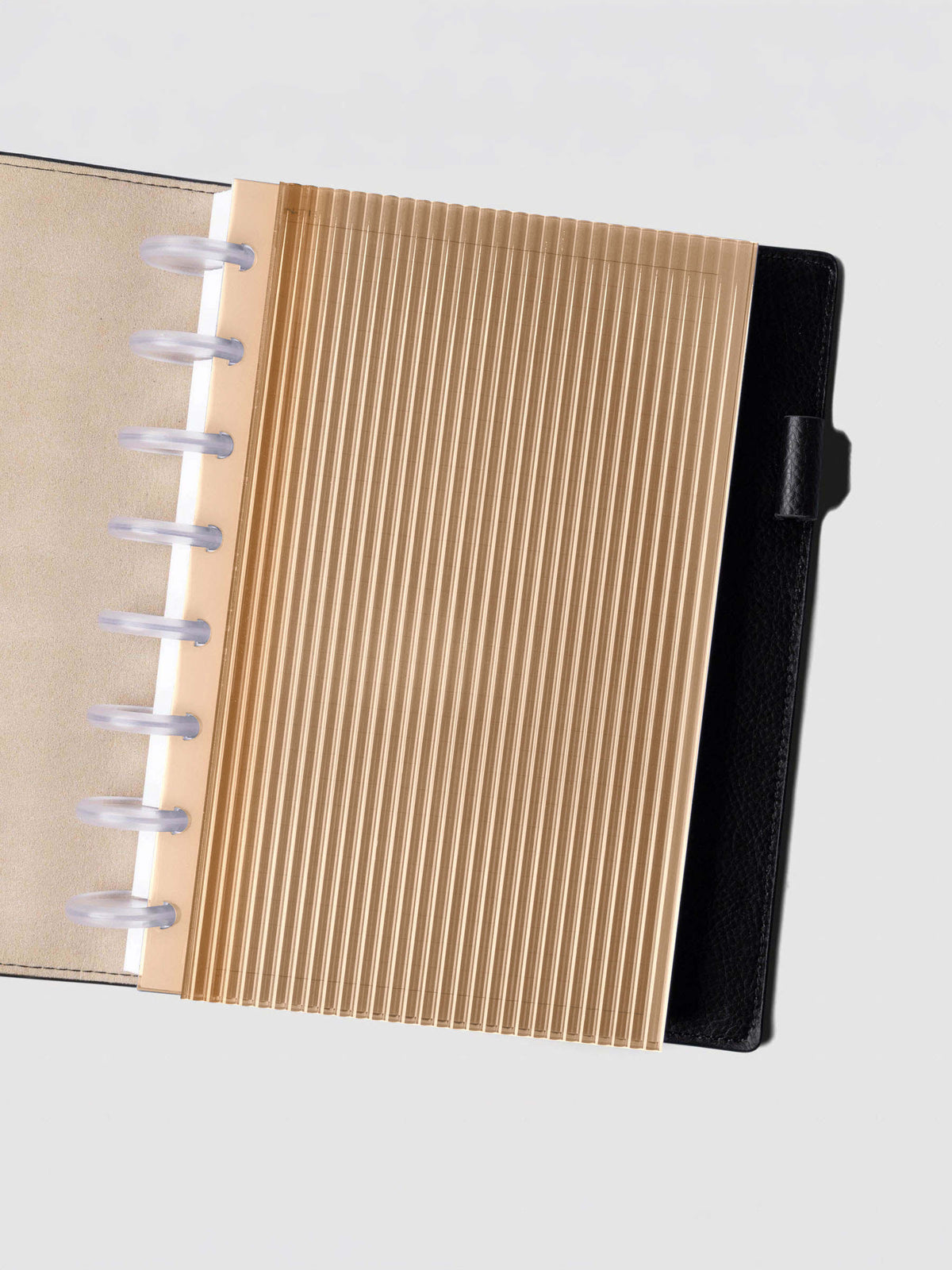 Bisque fluted planner dashboard in Half Letter size shown in a black leather discbound cover with clear discs.