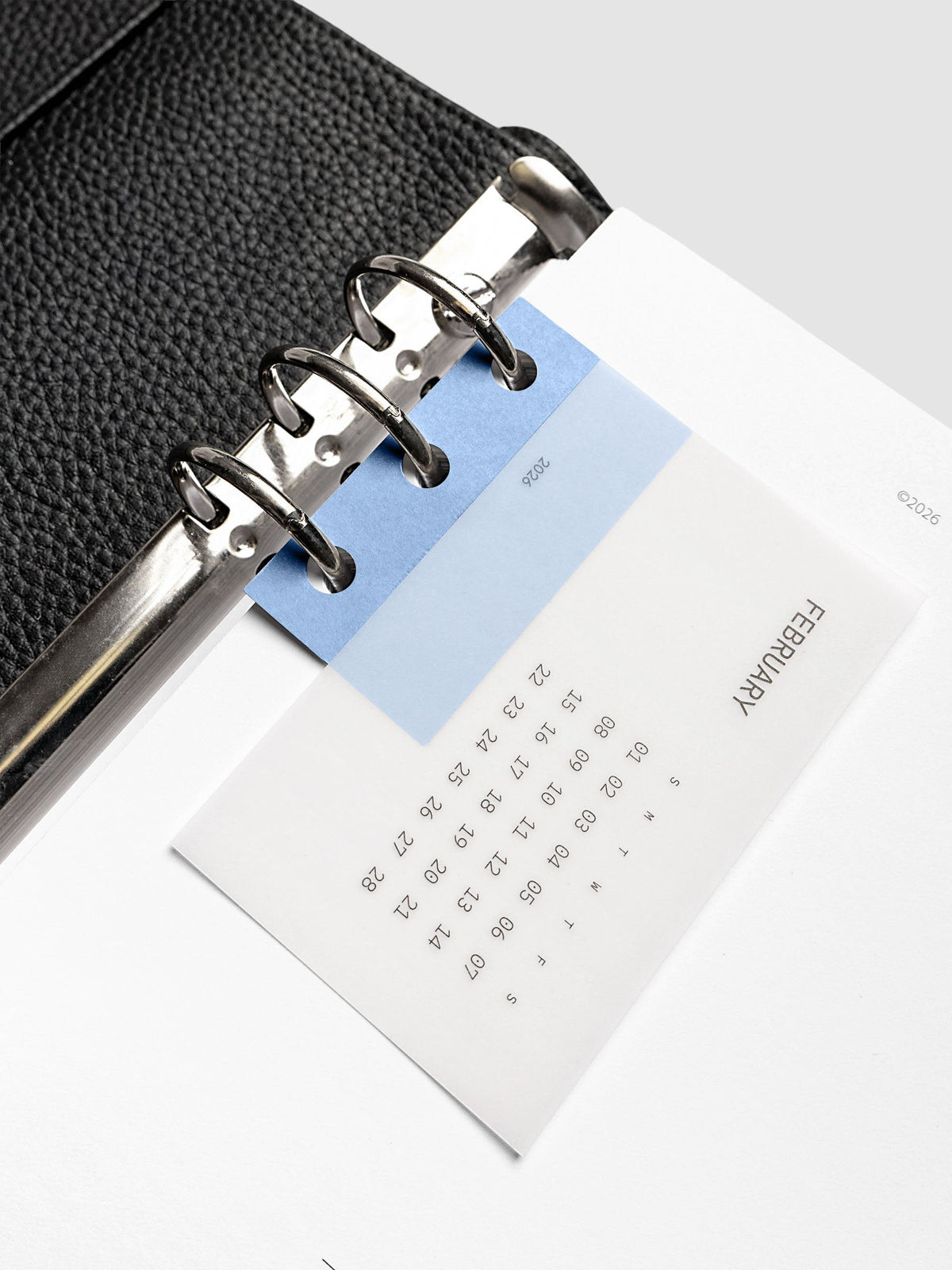 System Punch Stickers in Hyacinth, hole punch adhesive sticker