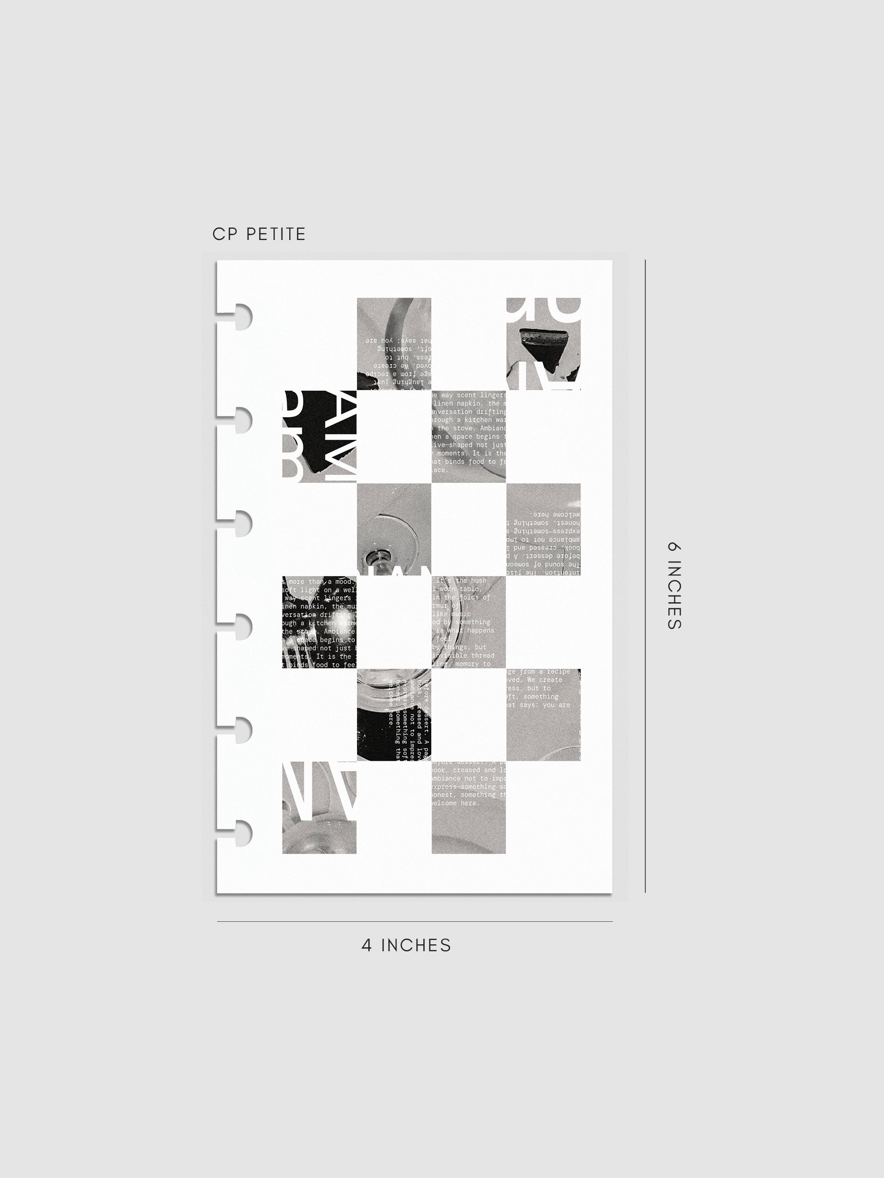 Digital mockup of insert in CP Petite