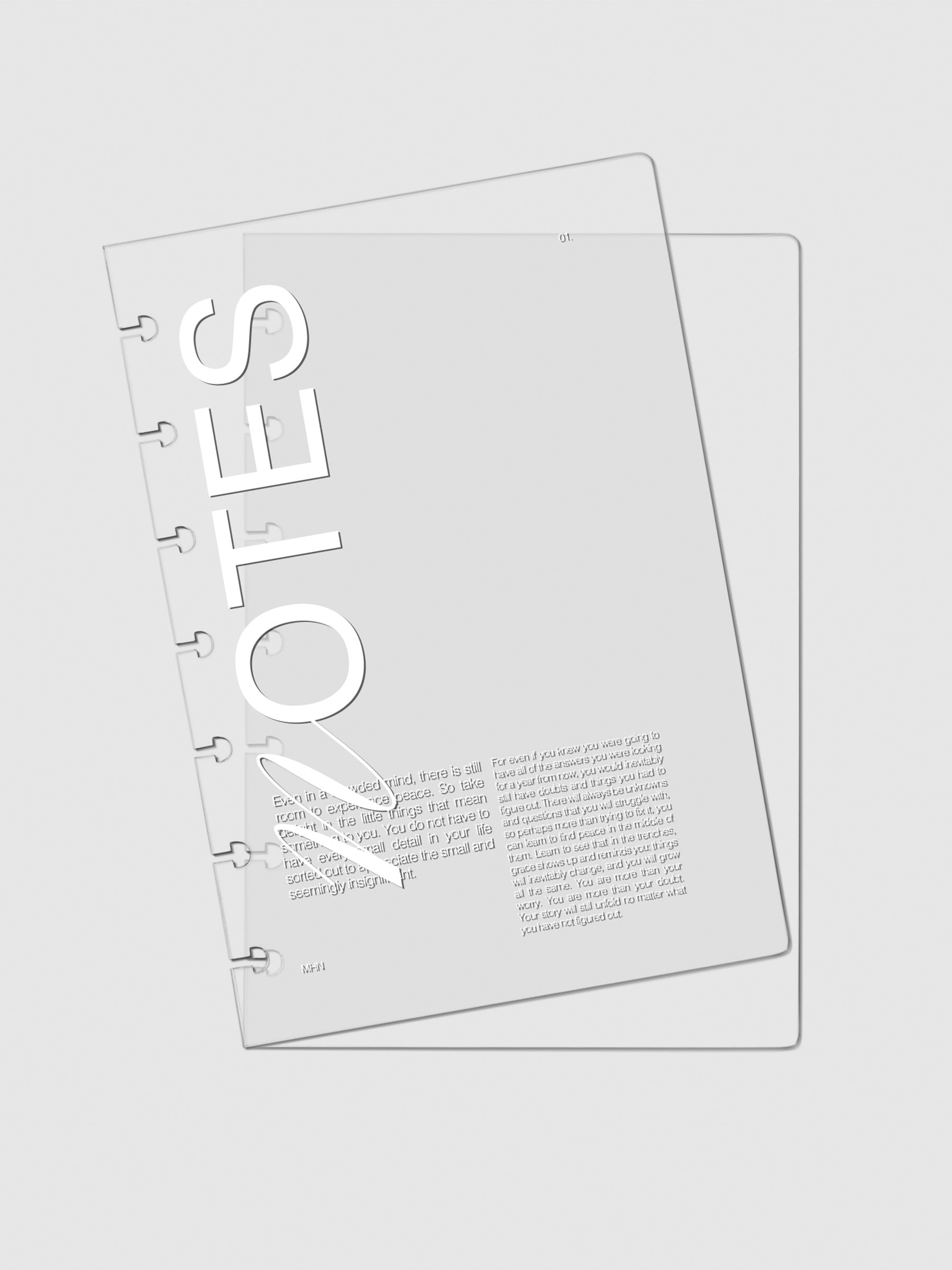 Two Crystal Clear Discbound Notebook Covers Notes laid on top of one another with the top cover tilted slightly to the left.