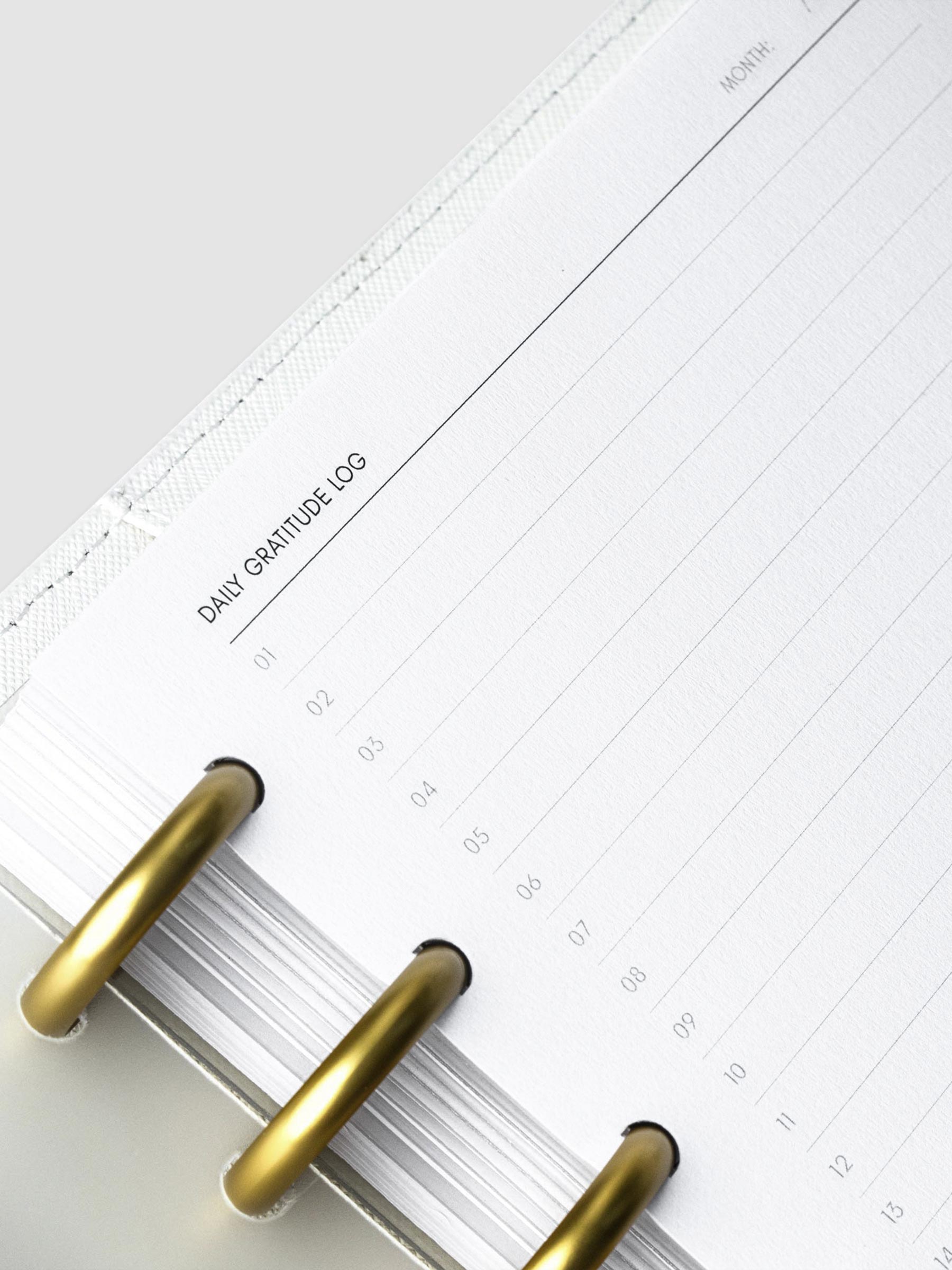 Close up on top left corner of an insert page. The page reads "Daily Gratitude Log" with numbered lines going down the page.