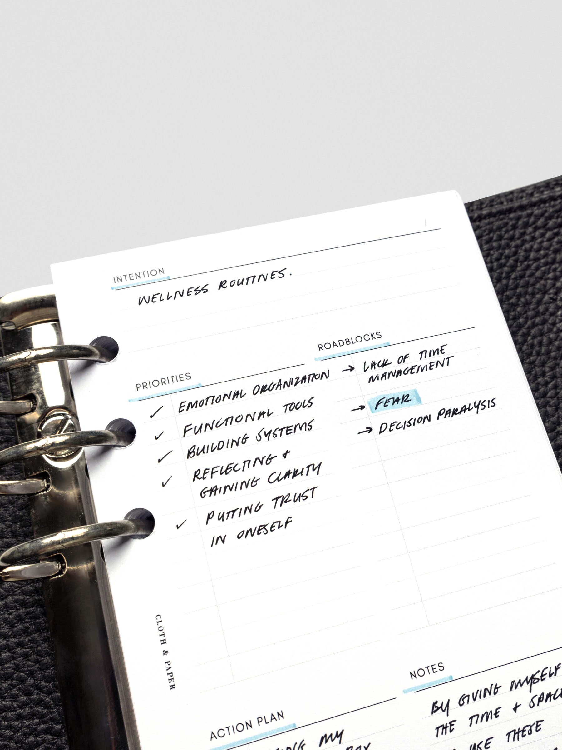 Close up of a filled in Daily intention Inserts using the example of wellness routines as the goal with broken down priorities and roadblocks.