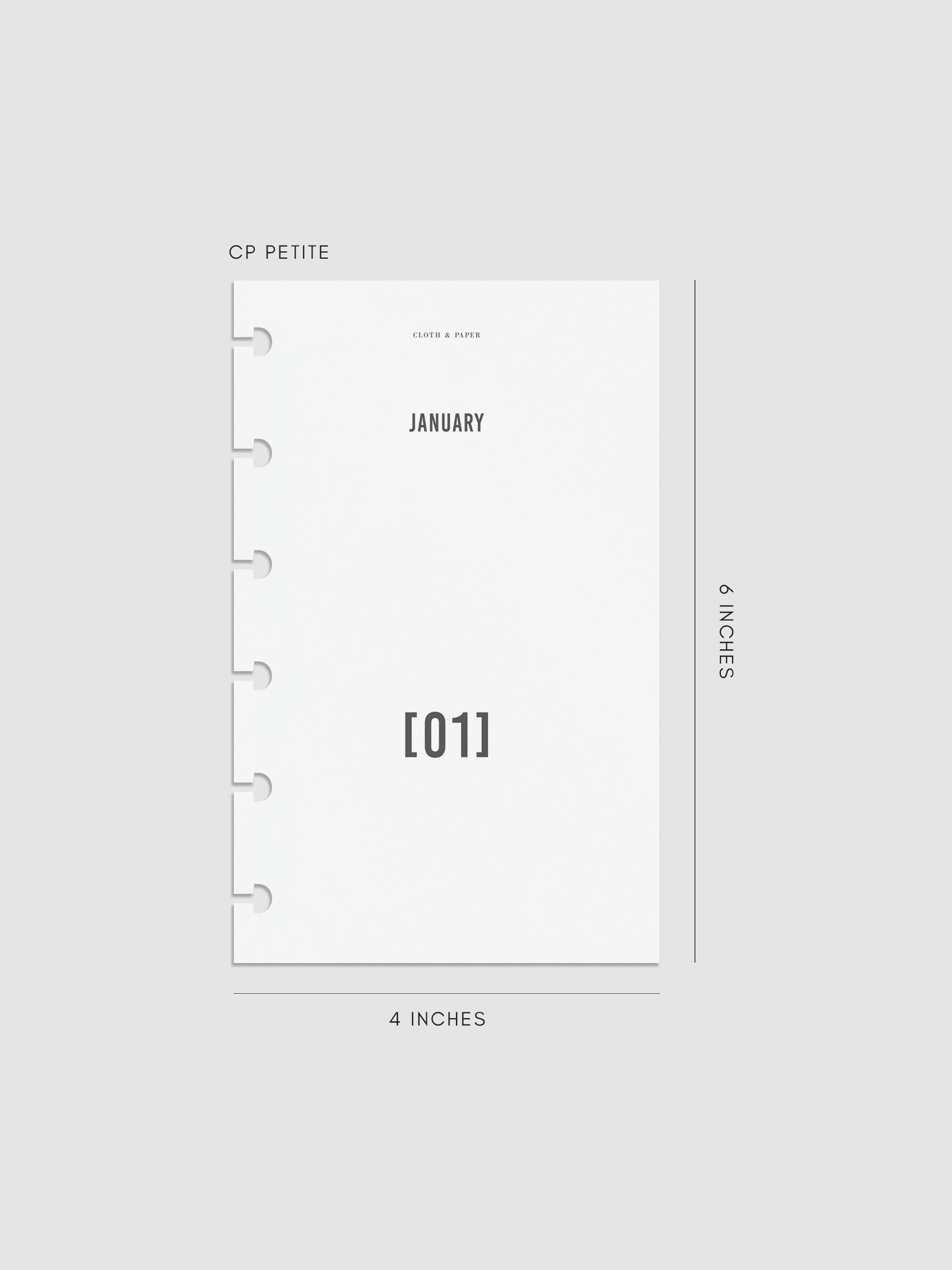 Digital mockup of dashboard in CP Petite.