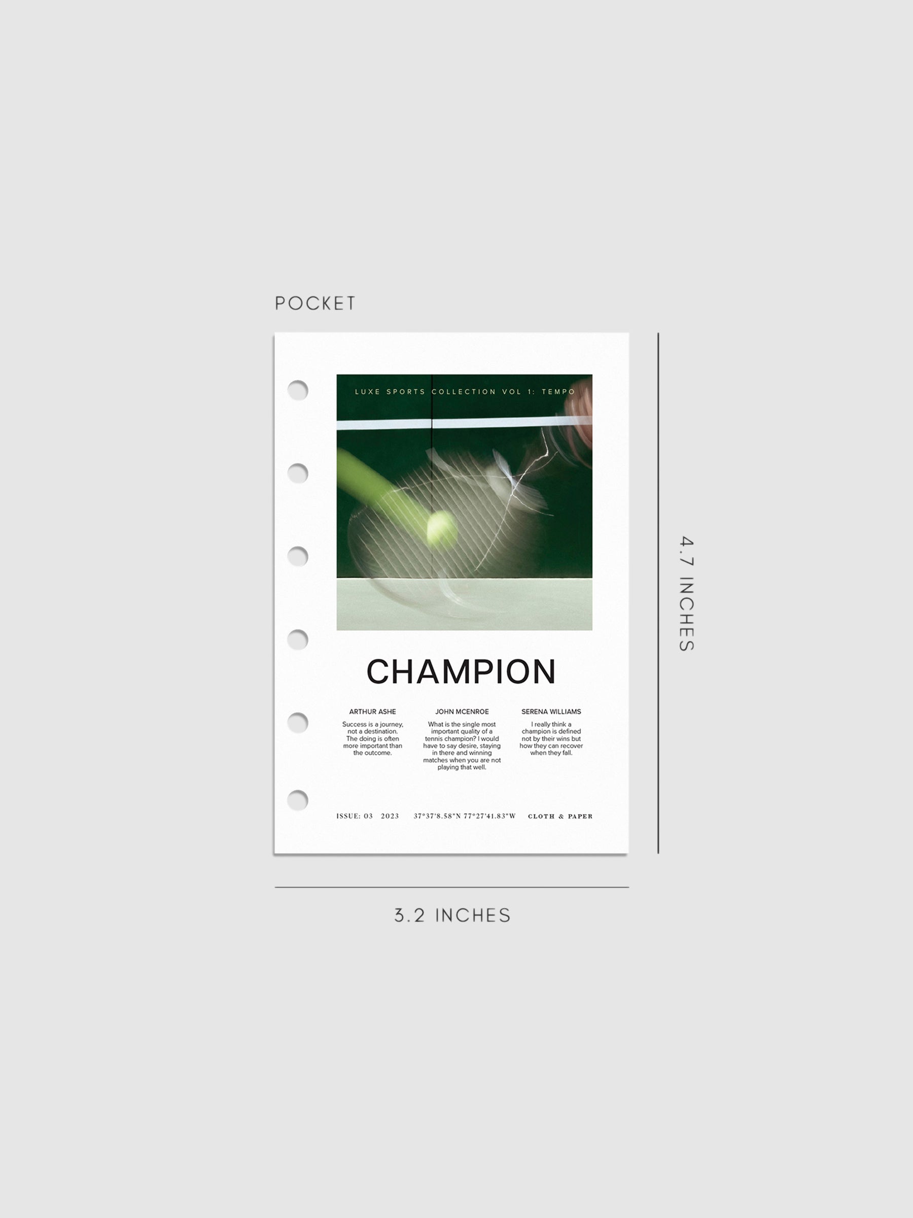 Digital mockup of Champion dashboard in Pocket.