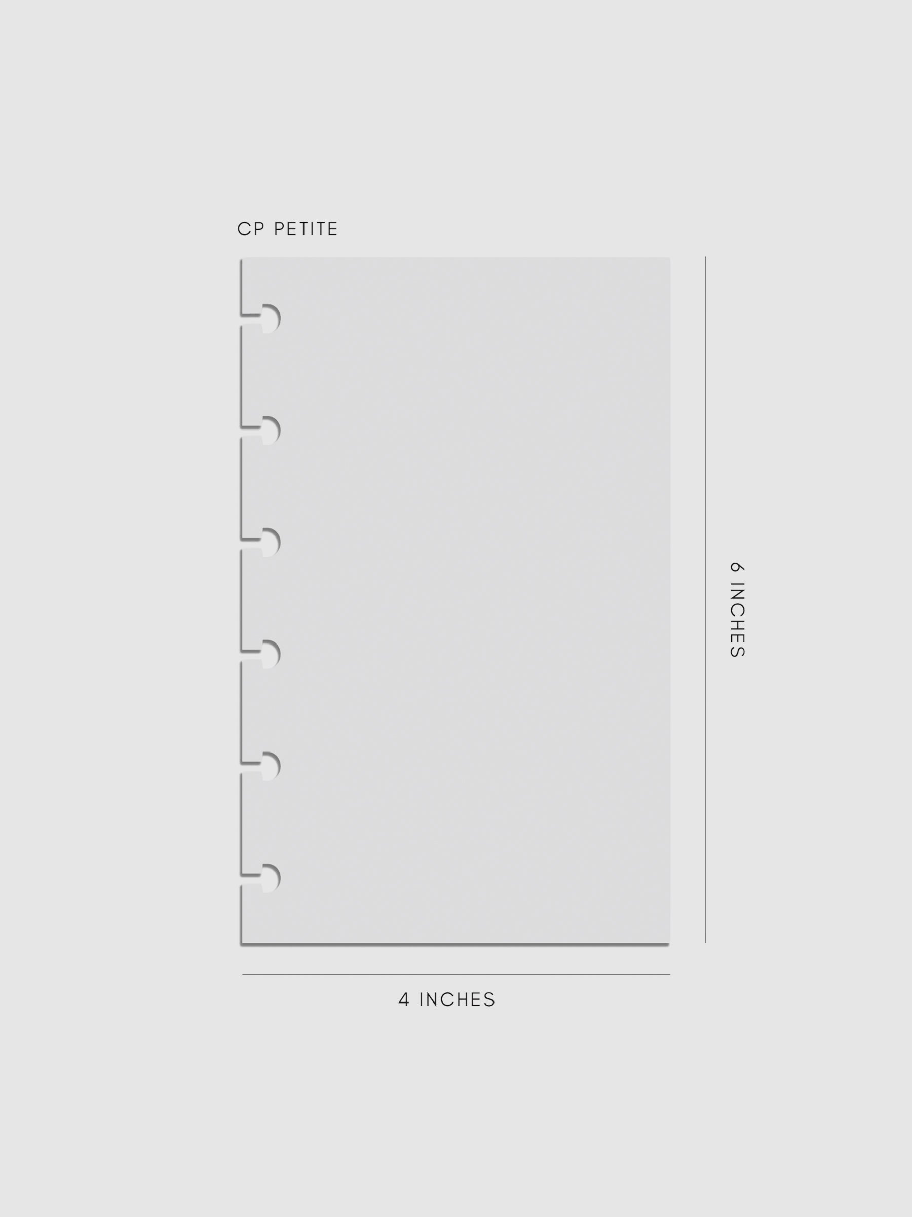 Digital mockup of insert in CP Petite.