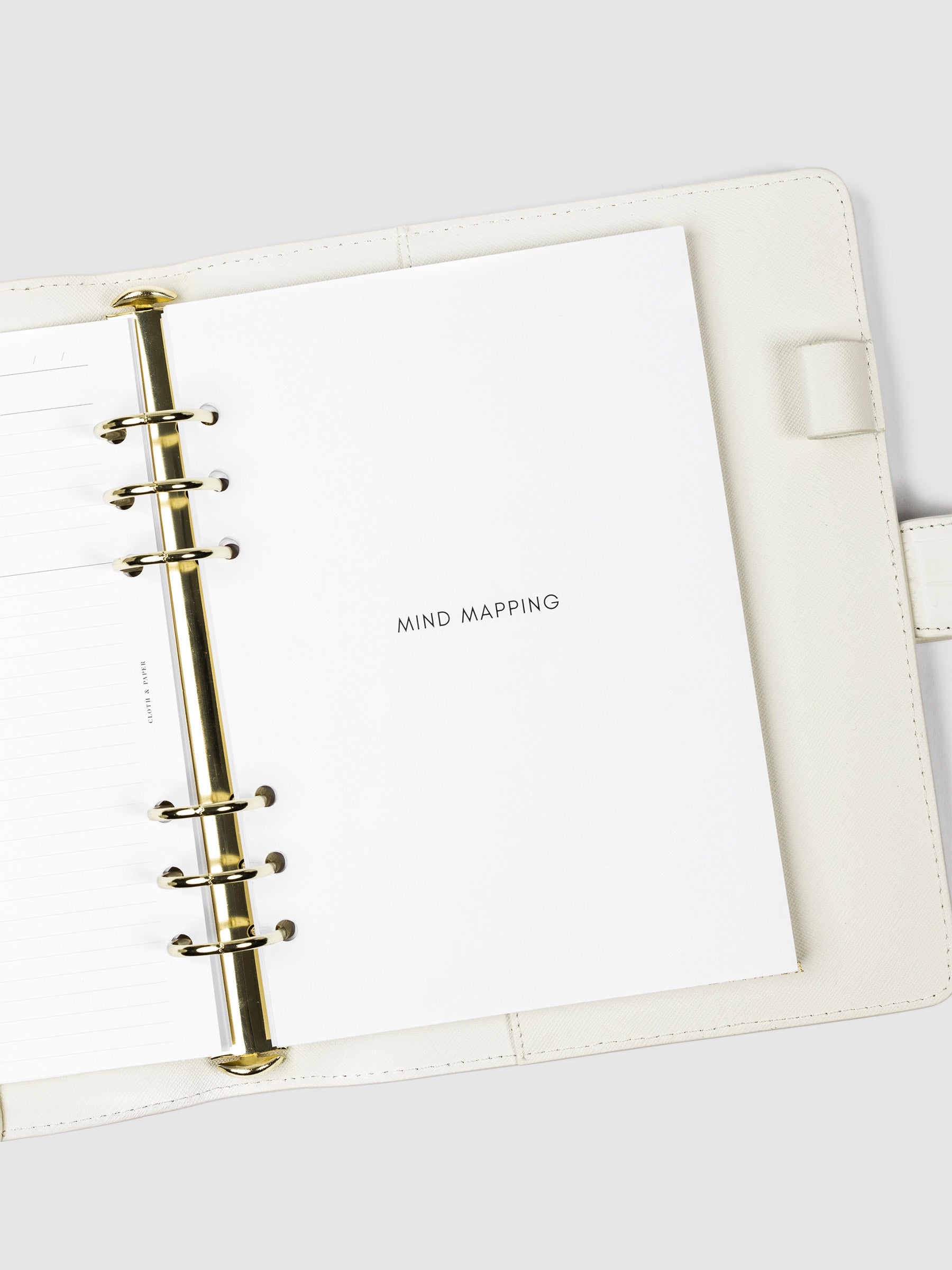 Mind Mapping insert in use inside of a white 6-ring leather agenda.