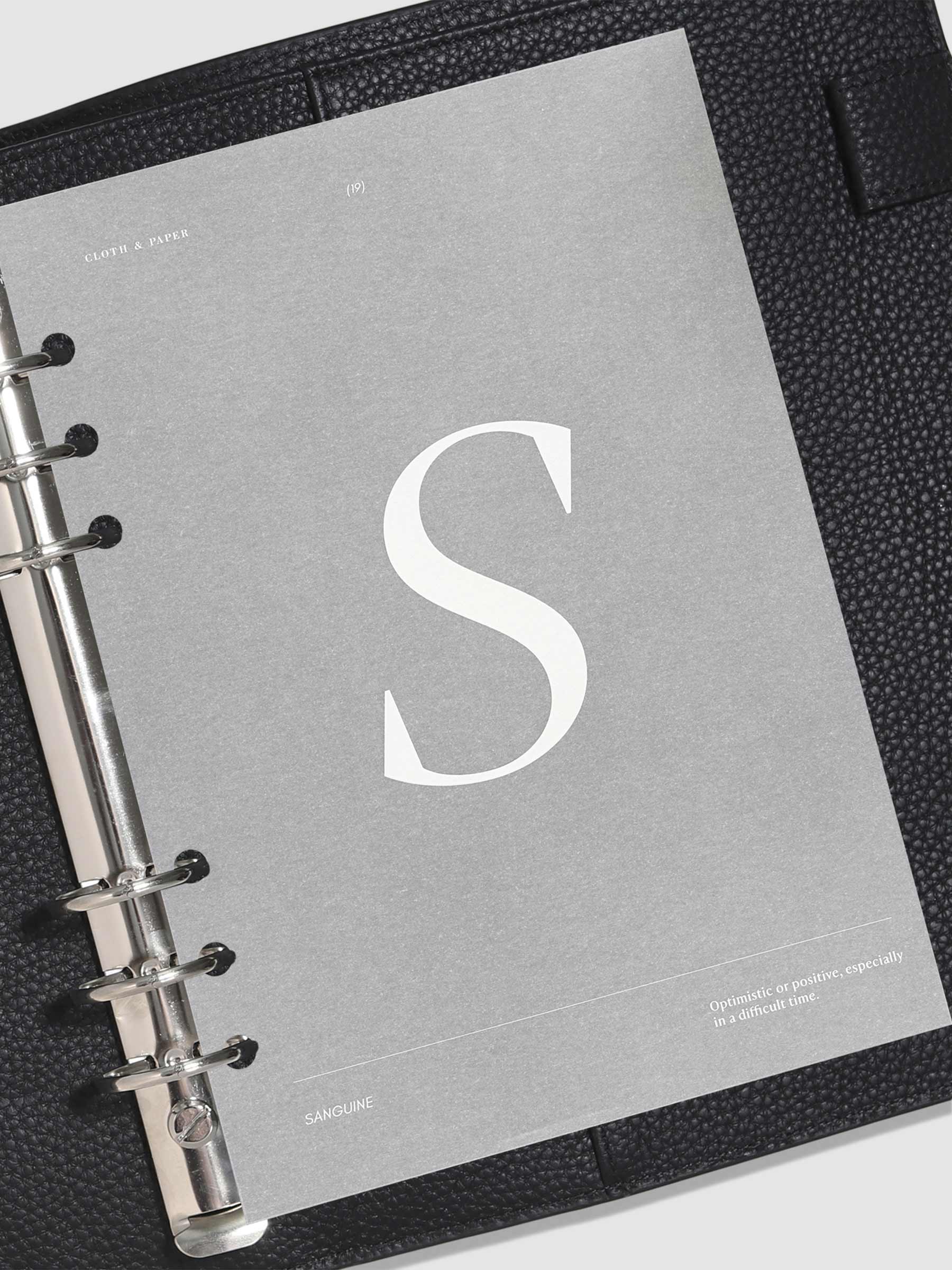 Monogram Vellum Planner Dashboard S in use in a leather planner.