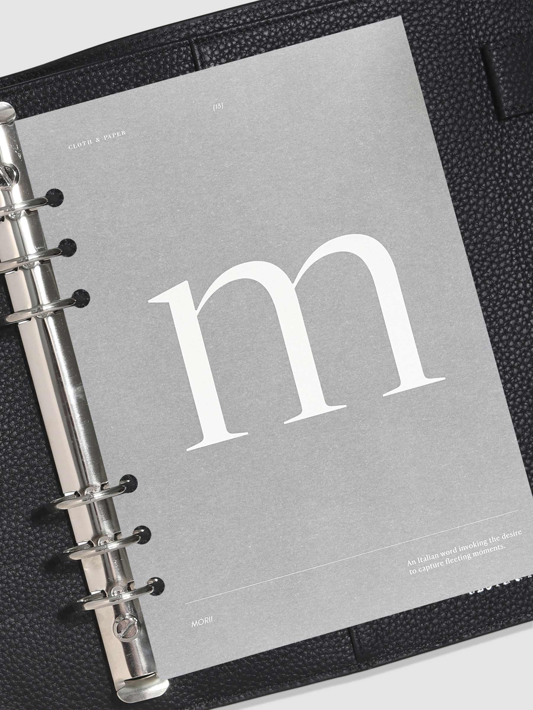 Monogram Vellum Planner Dashboard M in use in a leather planner.