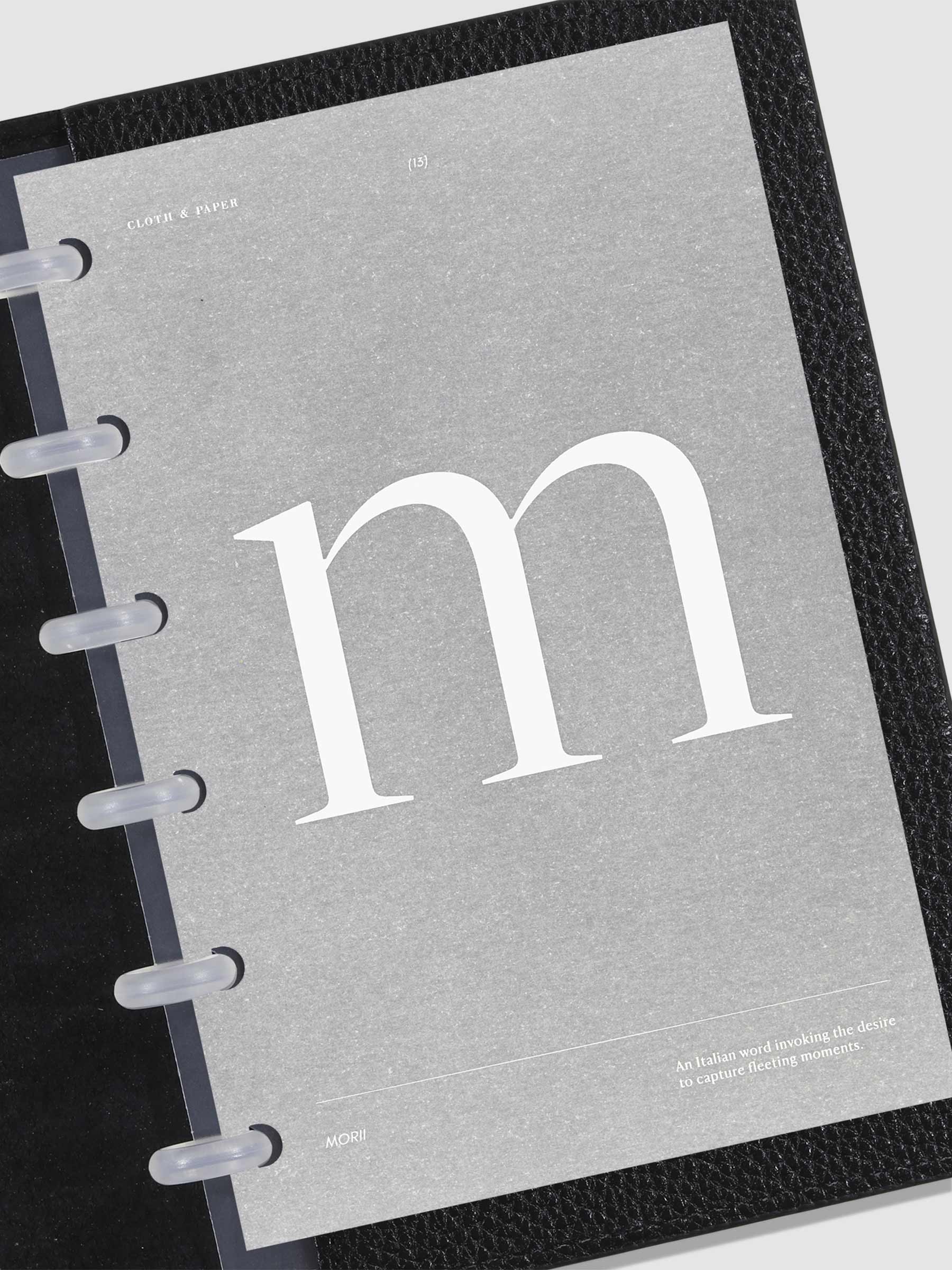 Monogram Vellum Planner Dashboard M in use in a leather planner.