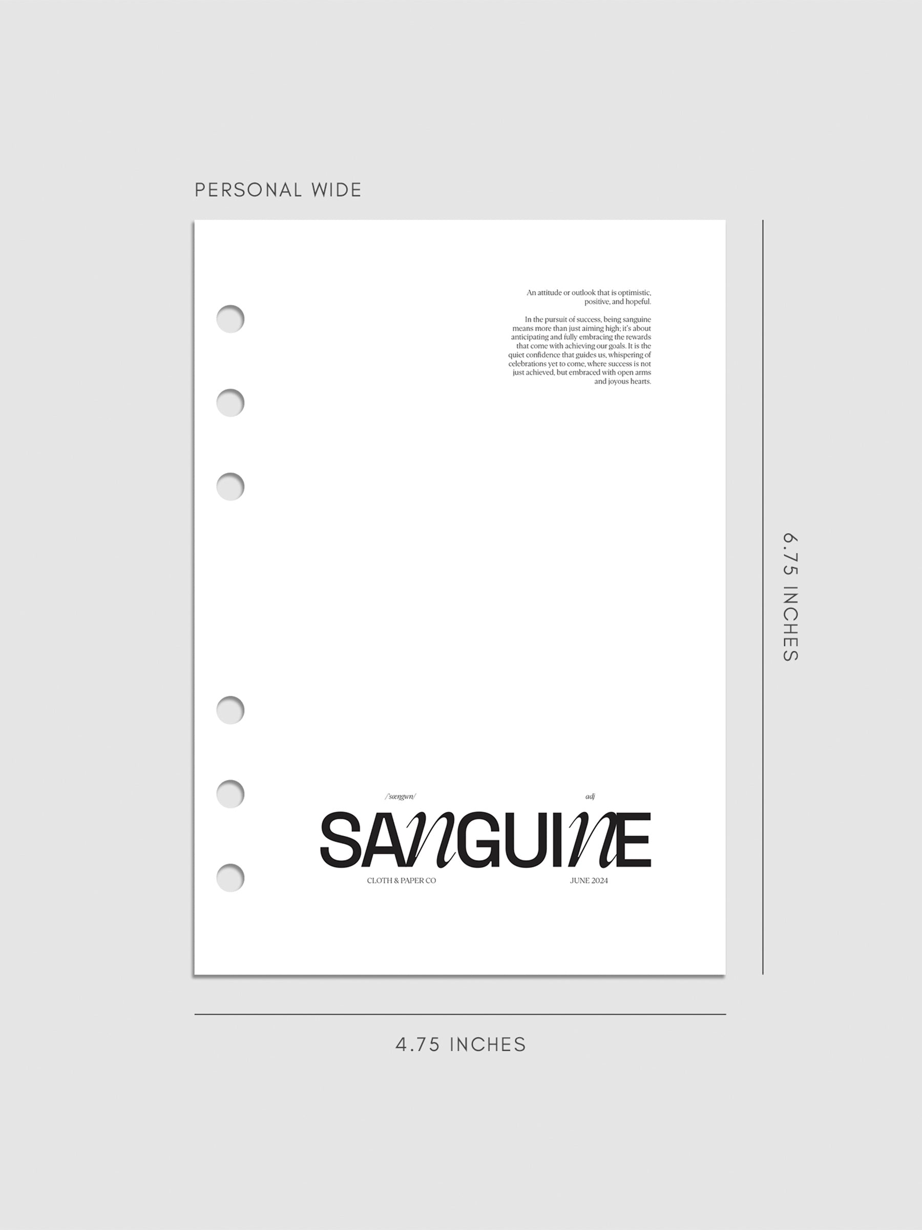 Digital mockup of the Sanguine Dashboard in Personal Wide