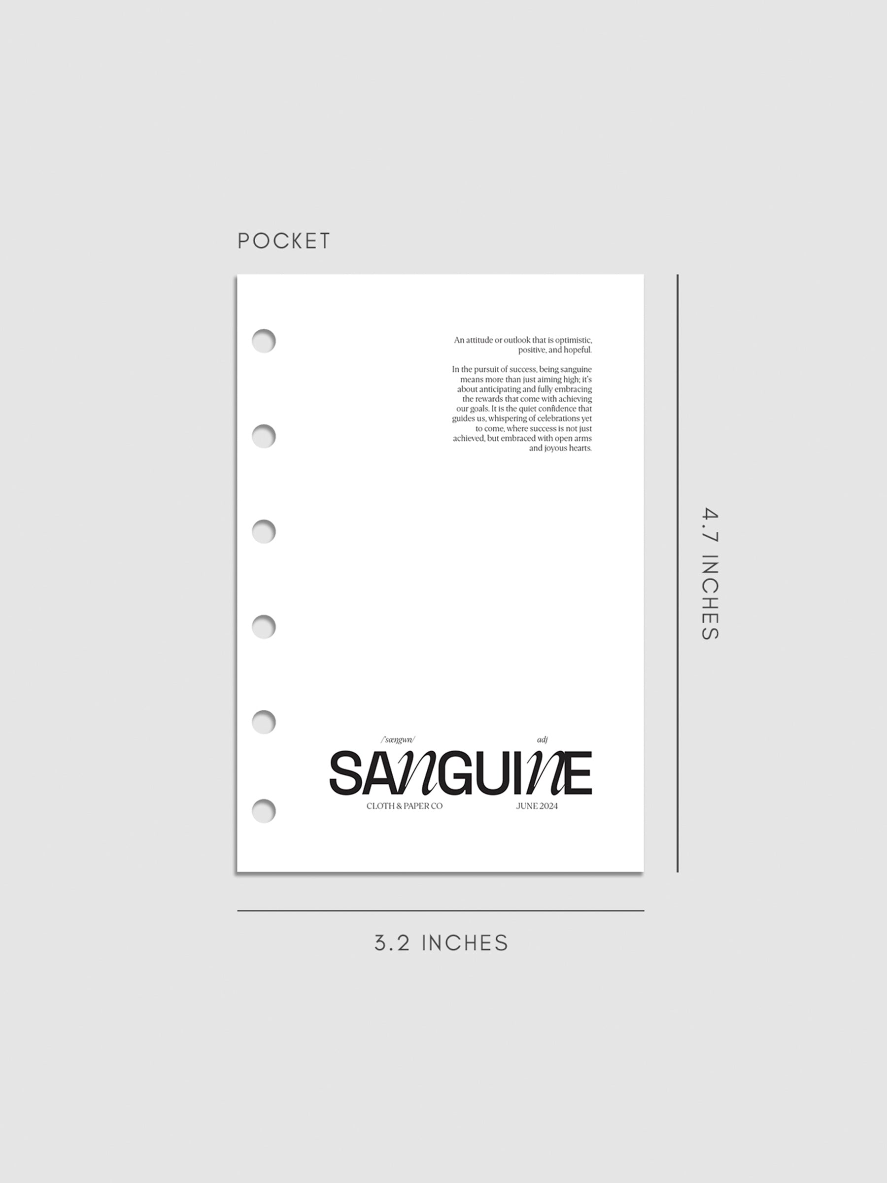 Digital mockup of the Sanguine Dashboard in Pocket