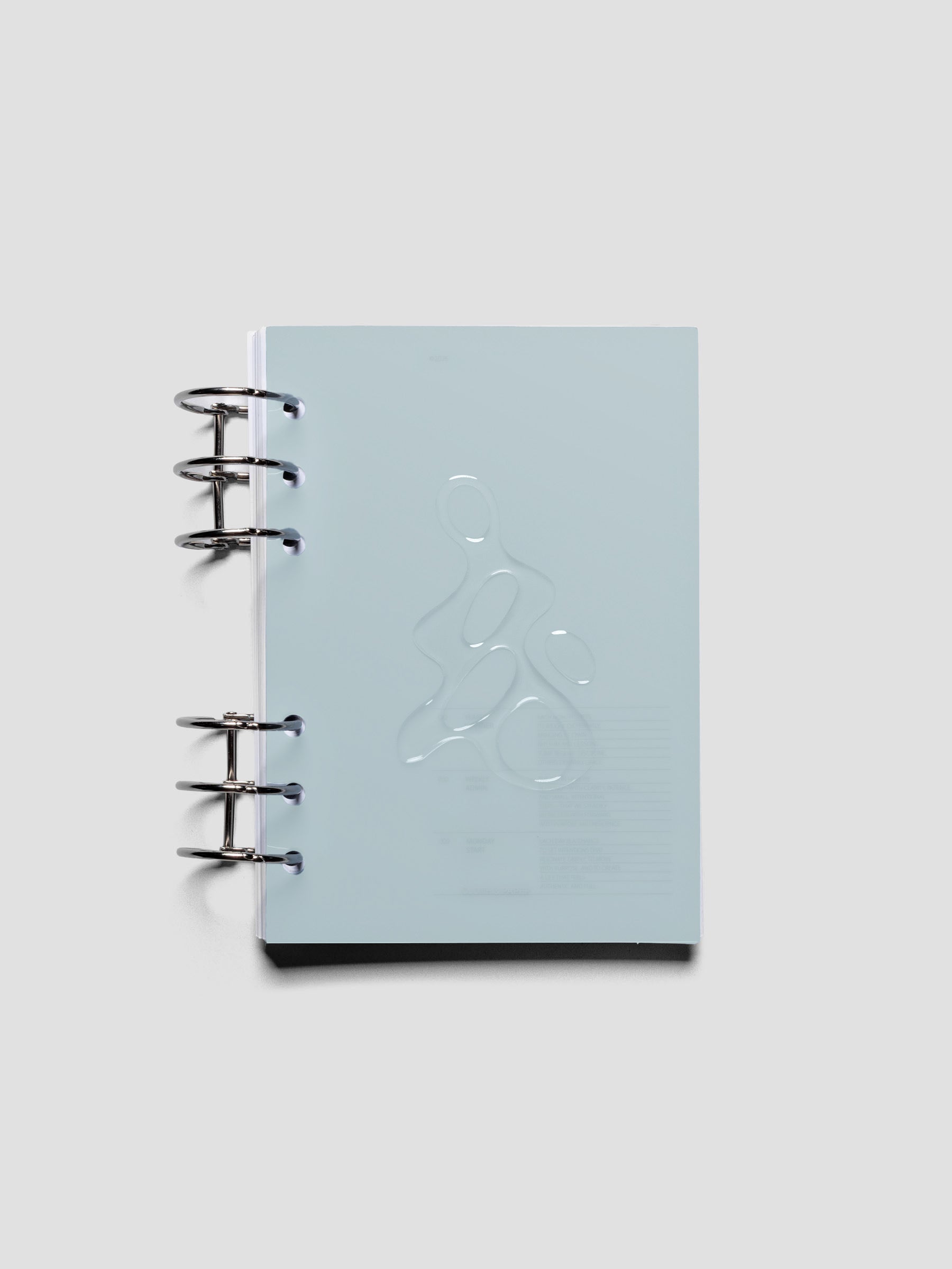 Light blue, semi-transparent, and glossy plastic planner dashboard with organic raised shape design in size Personal Wide shown ringbound.