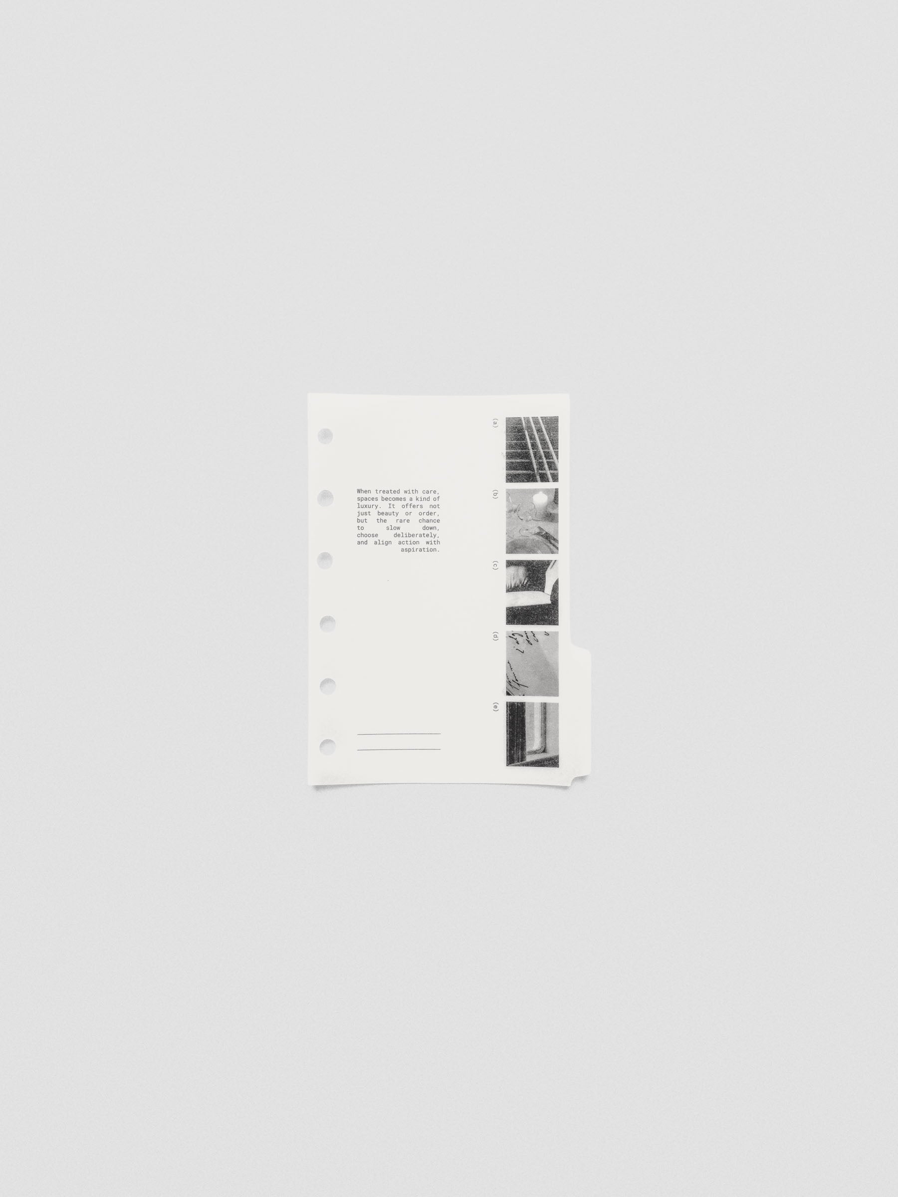 Pocket-size Editorial Vellum Dividers Vol. 2 displayed layered over planner inserts.