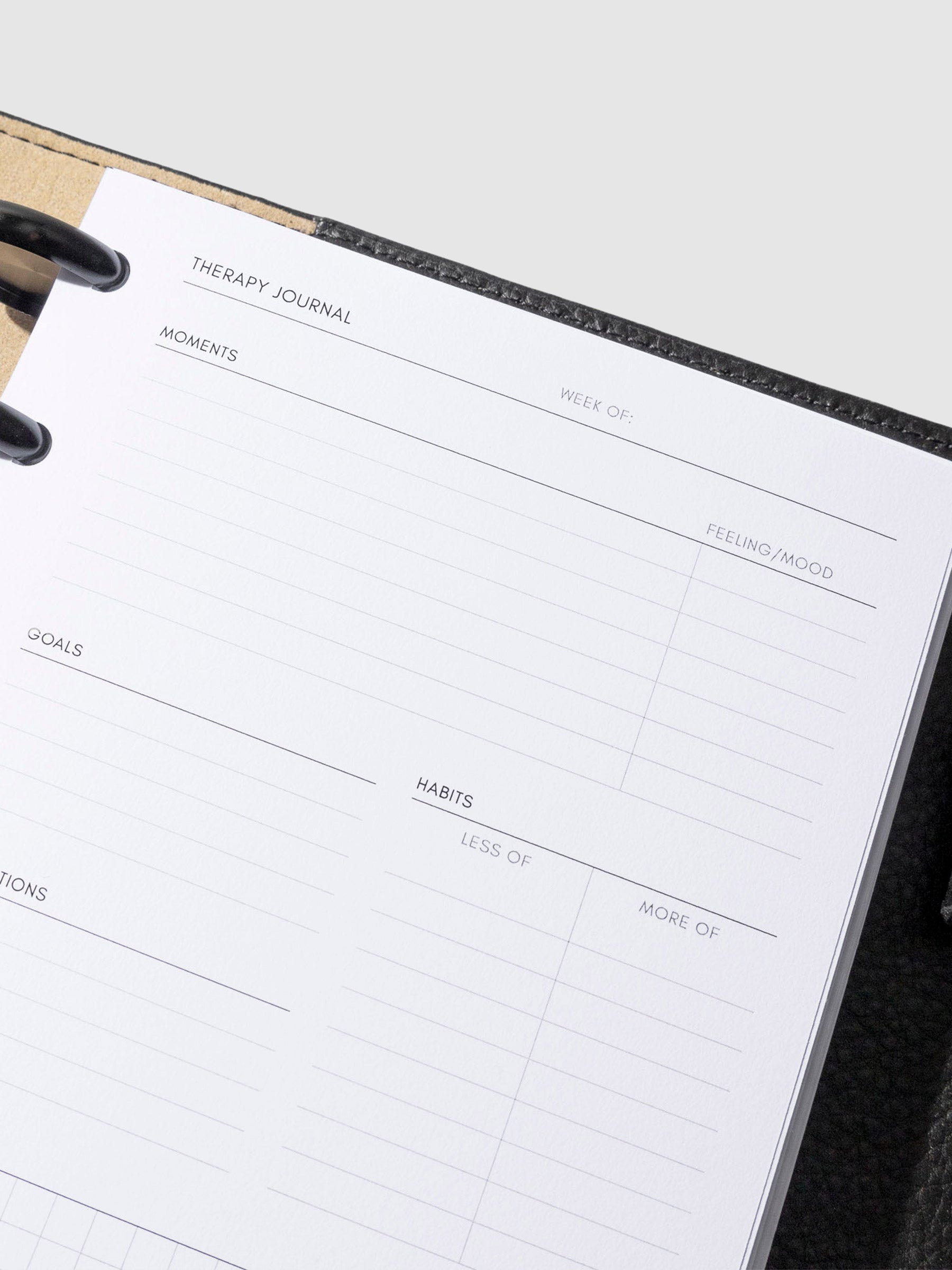 Insert shown in use inside a black leather agenda. Size shown is HP Mini.