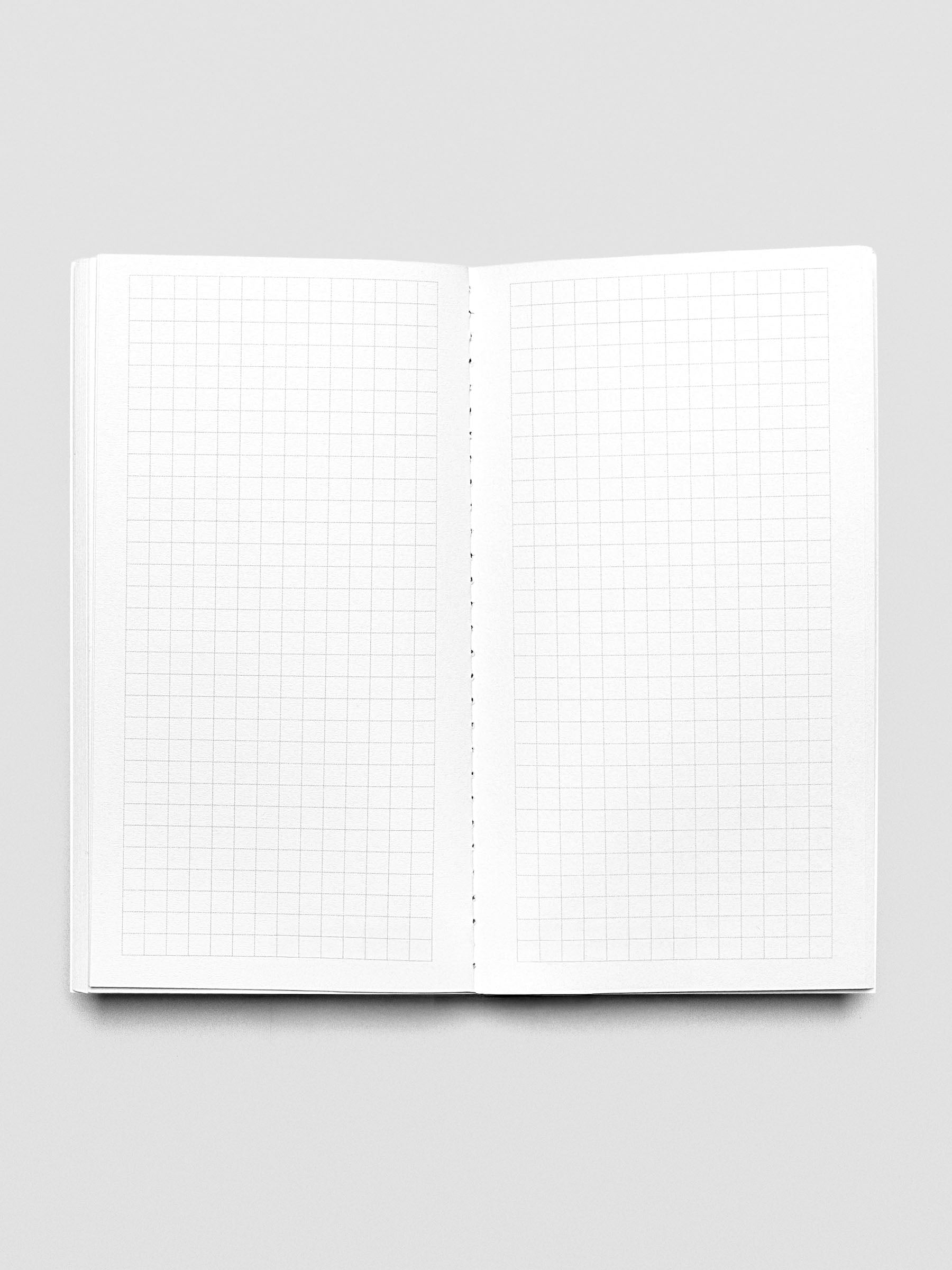 Pocket Plus Travel Notebook shown open displaying the Graph pages.