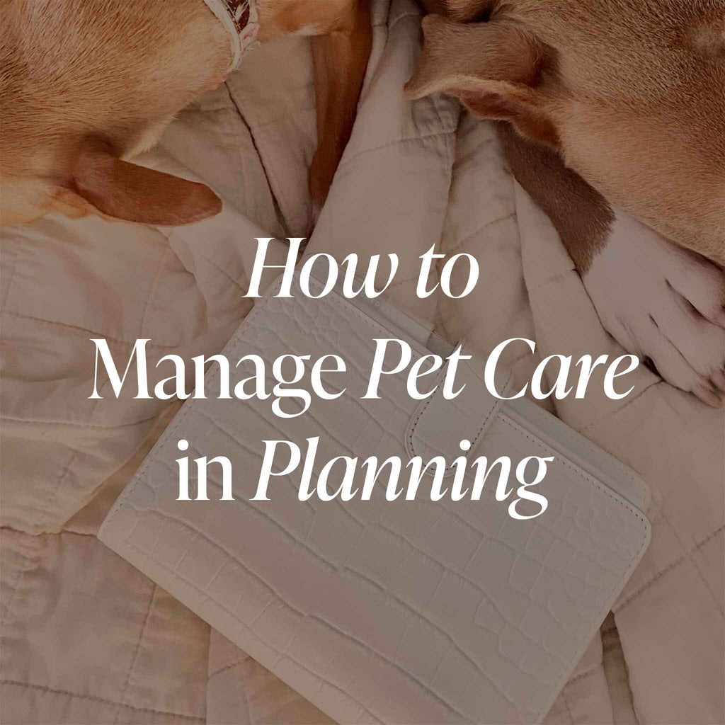 How to Manage Pet Care in Planning