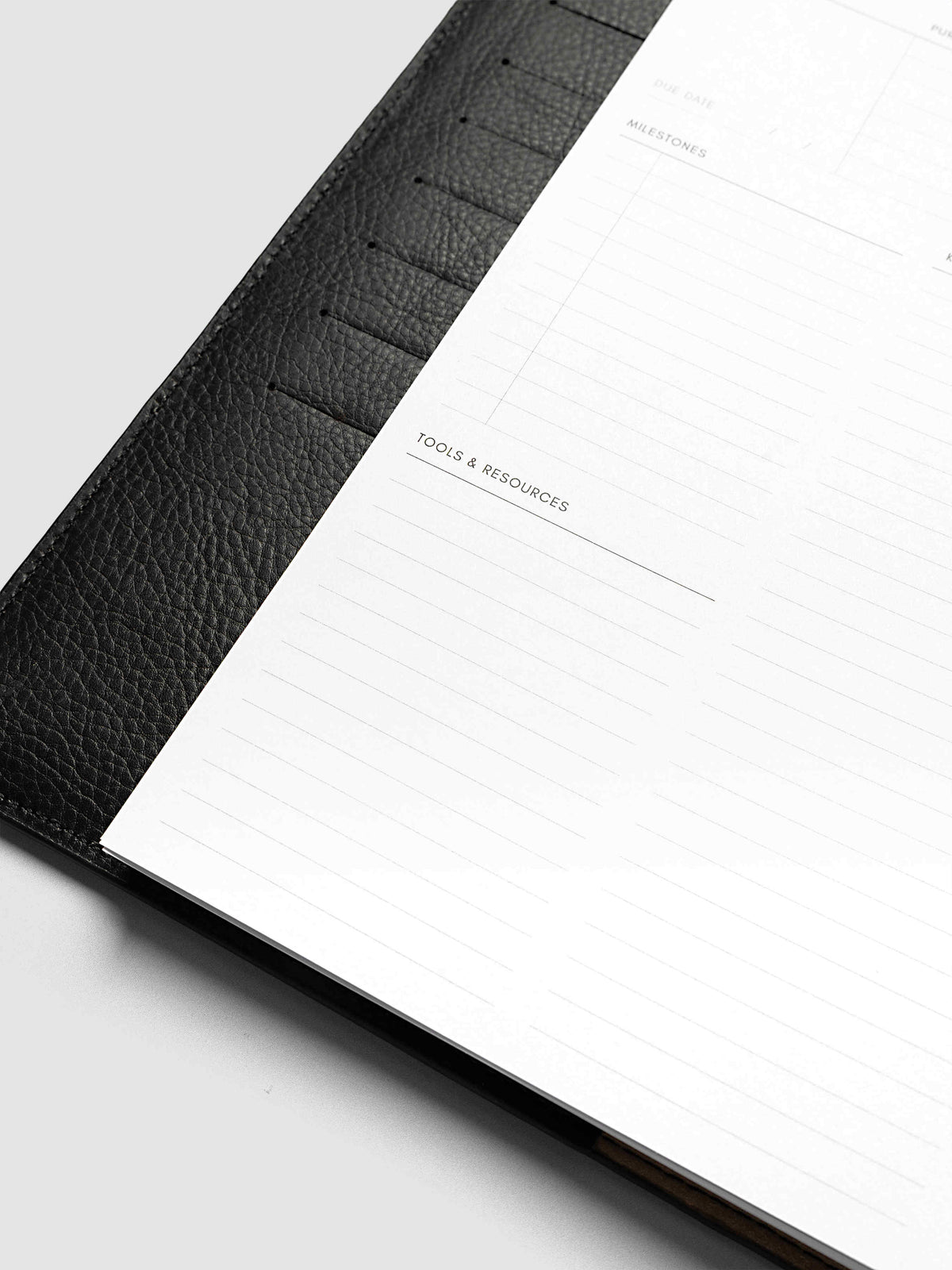 Close-up at an angle of the lower left page of a skill spread in the Half Letter 8-Disc Punch Personal Curriculum Planner Inserts, showing the milestones, key tasks and tools and resources sections