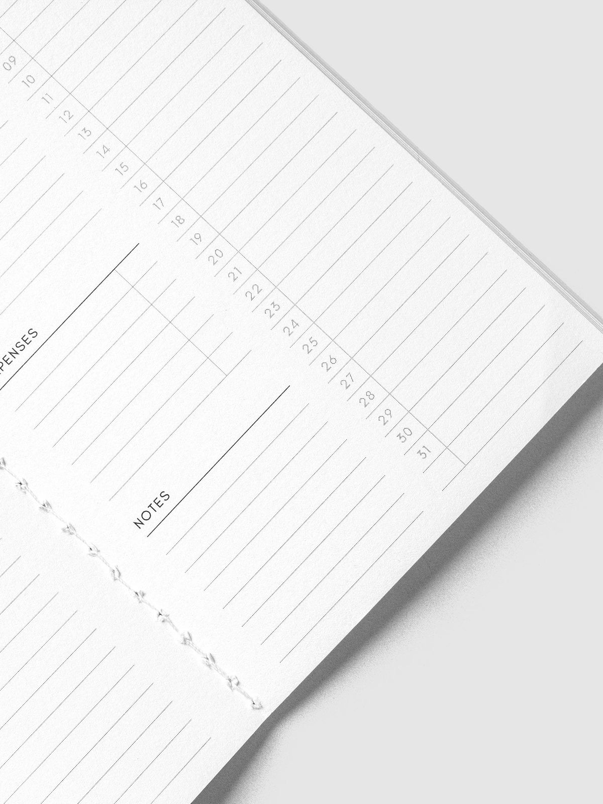 Close-up of the Expenses and Notes sections beside days 09 to 31 on the Monthly Overview Pocket Plus page