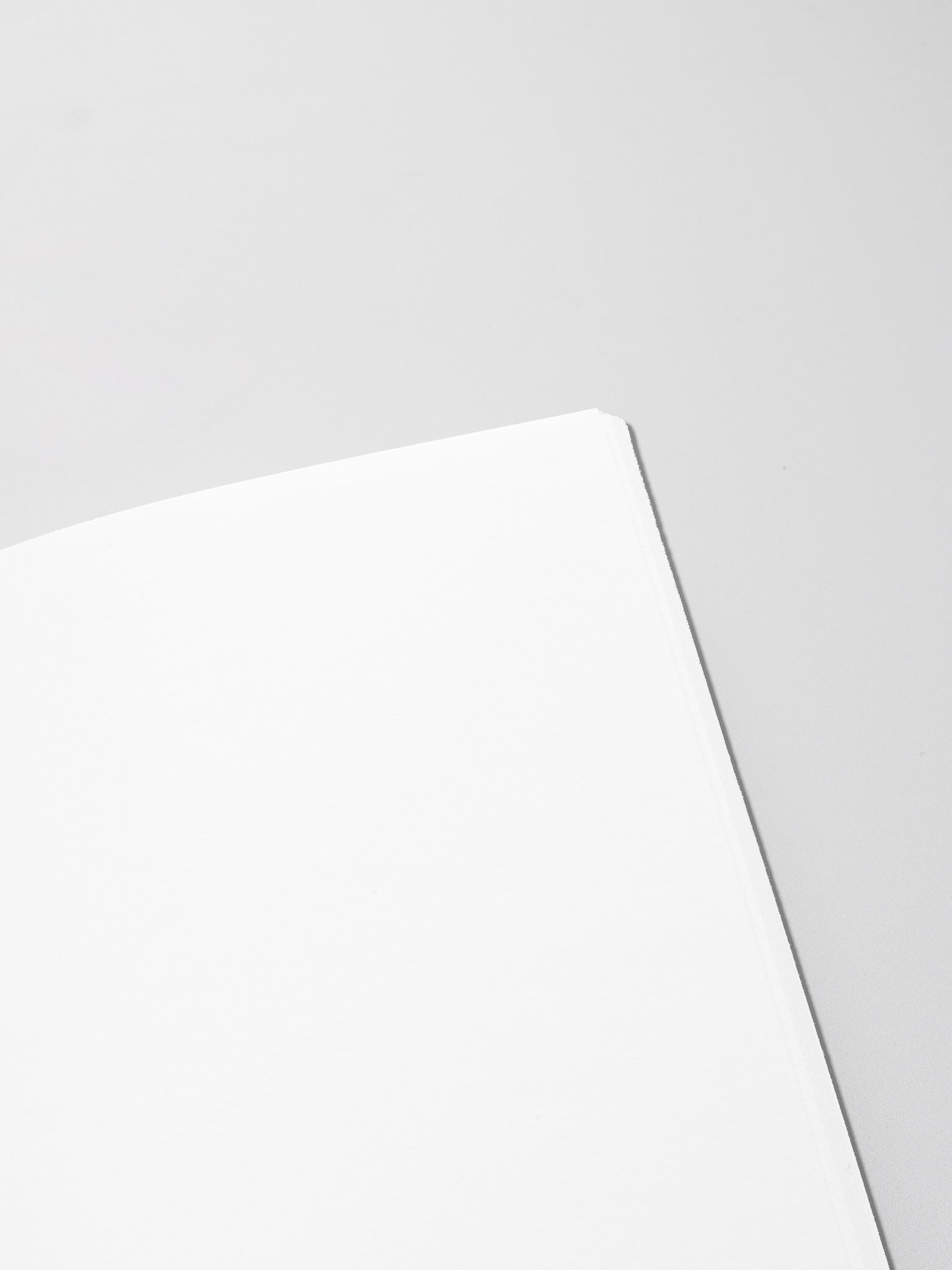 Close up of the interior of Travel Notebook in size Pocket Plus in color Angora with Blank pages.