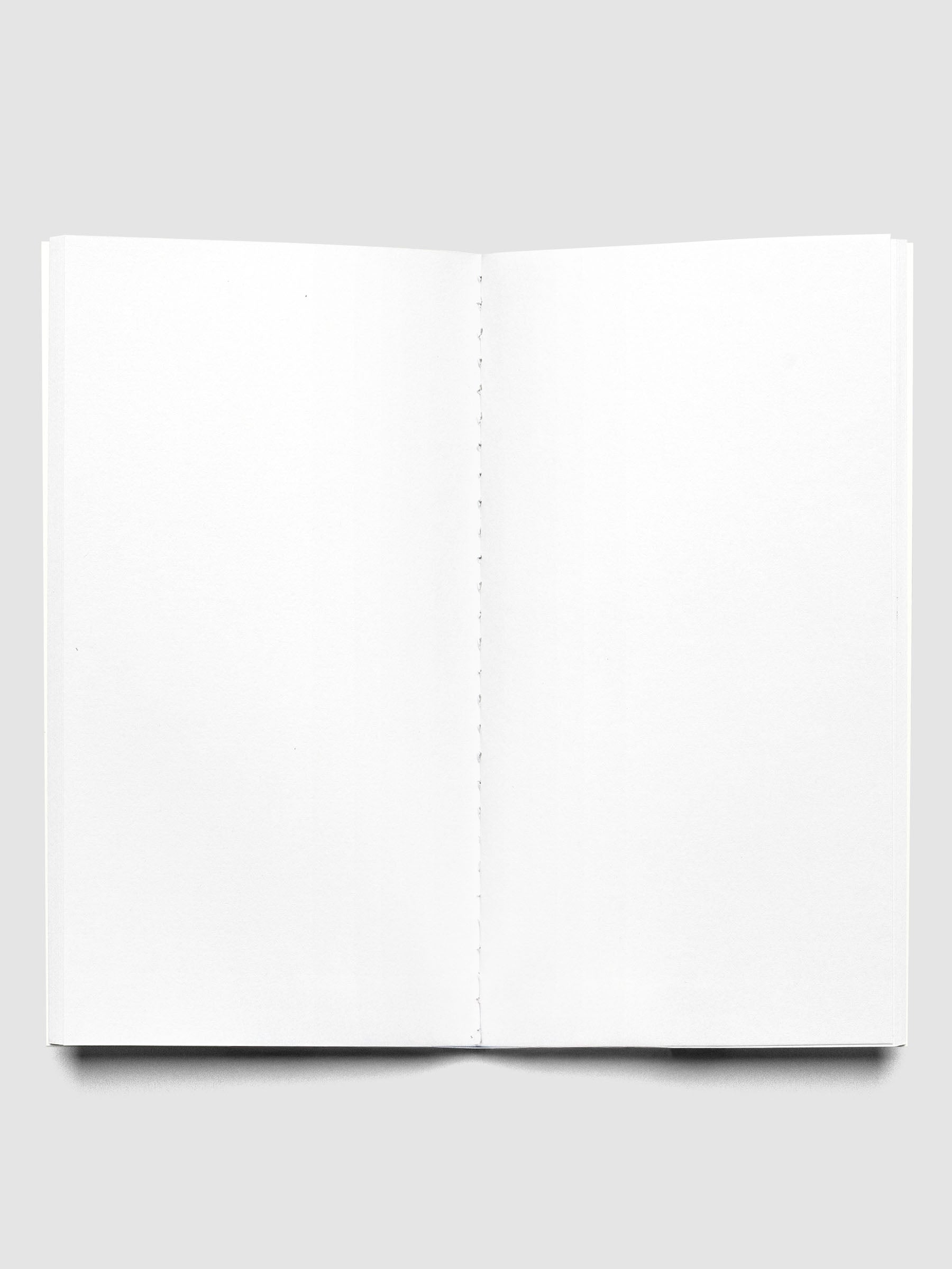 Interior of Travel Notebook in size Pocket Plus in color Angora with Blank pages.