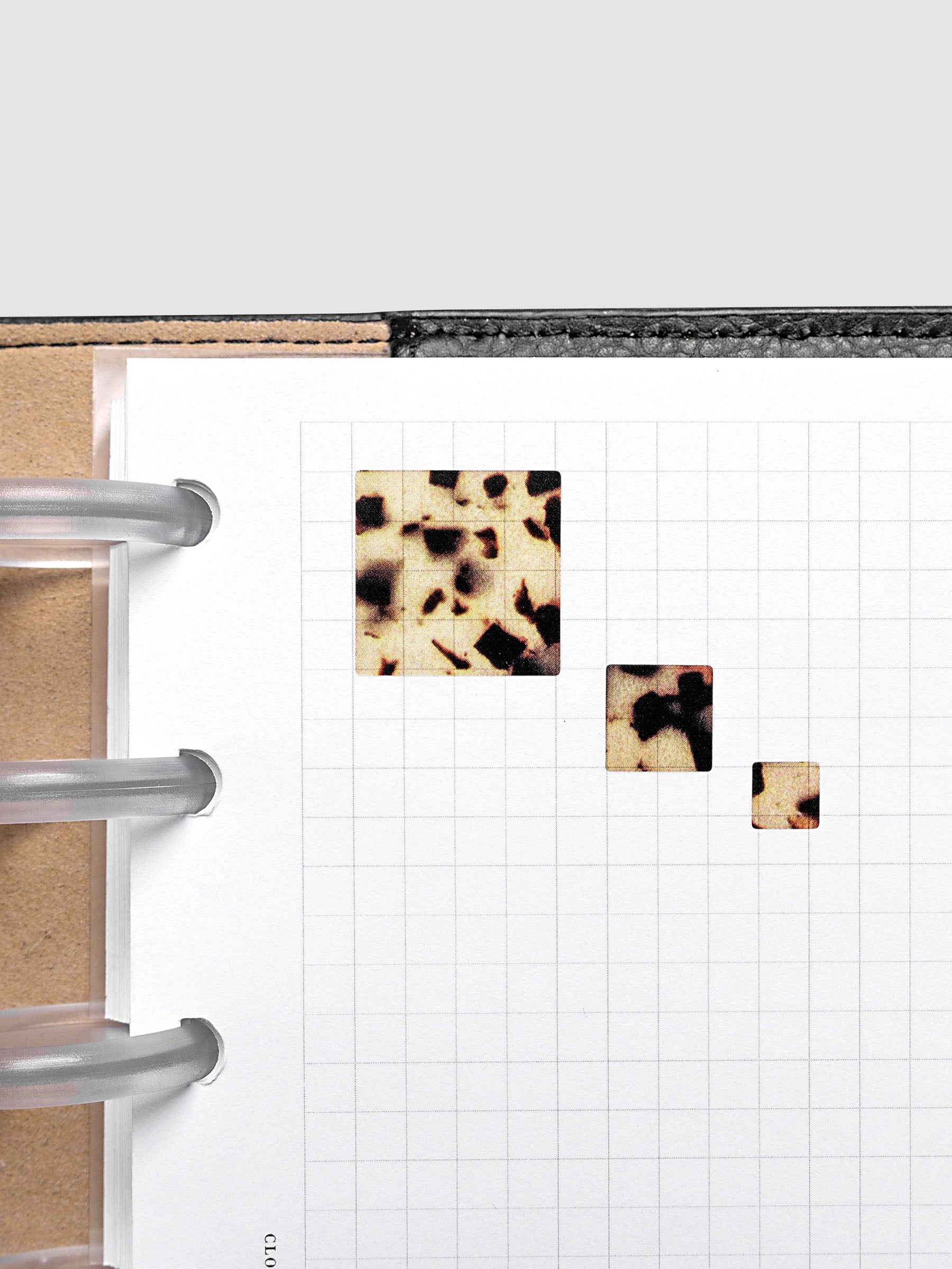 One of each size of Square Stickers in the pattern Desert Tortoiseshell shown on a graph notes planner insert.