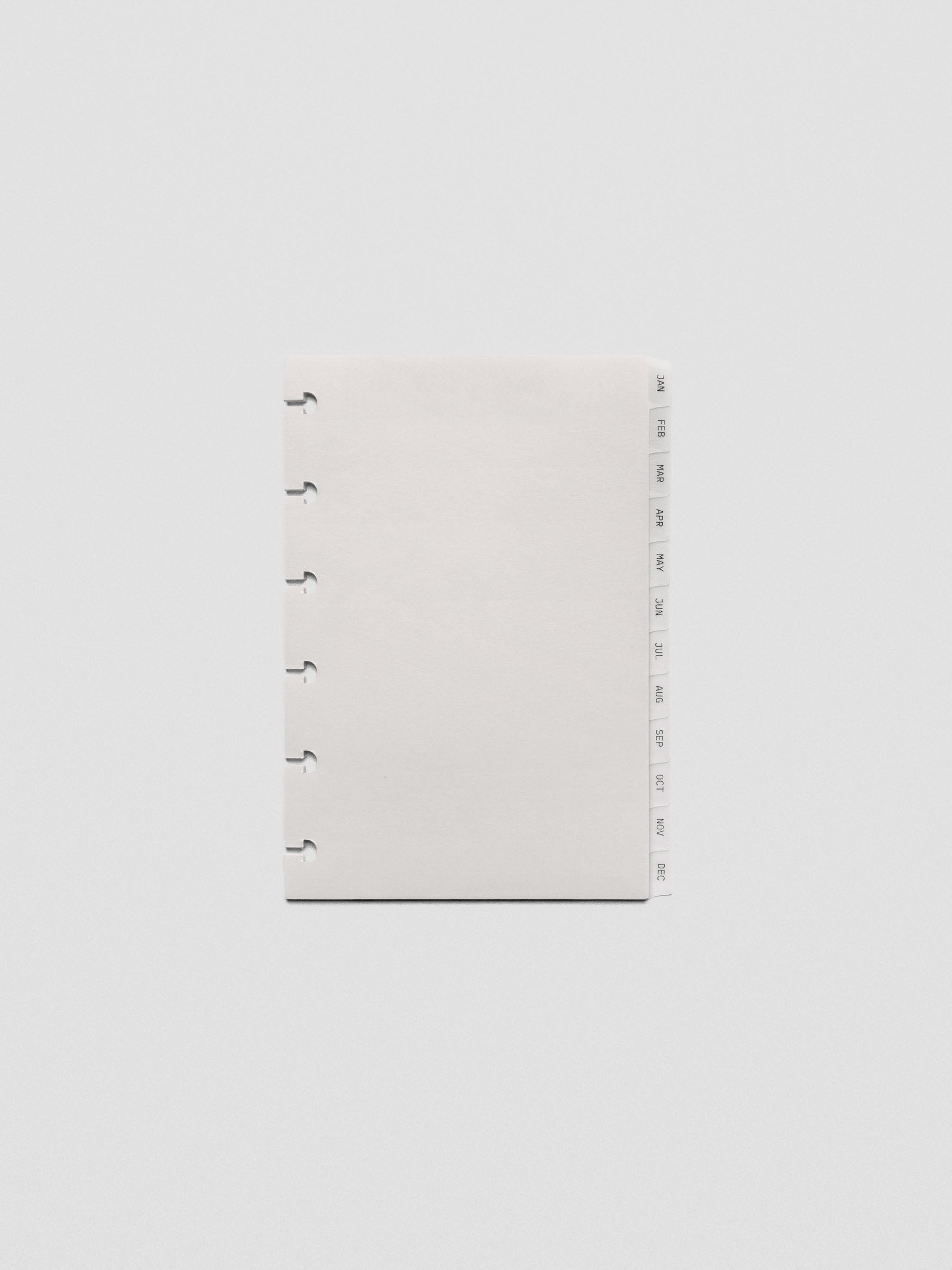 CP Petite vellum dividers shown on a grey background.