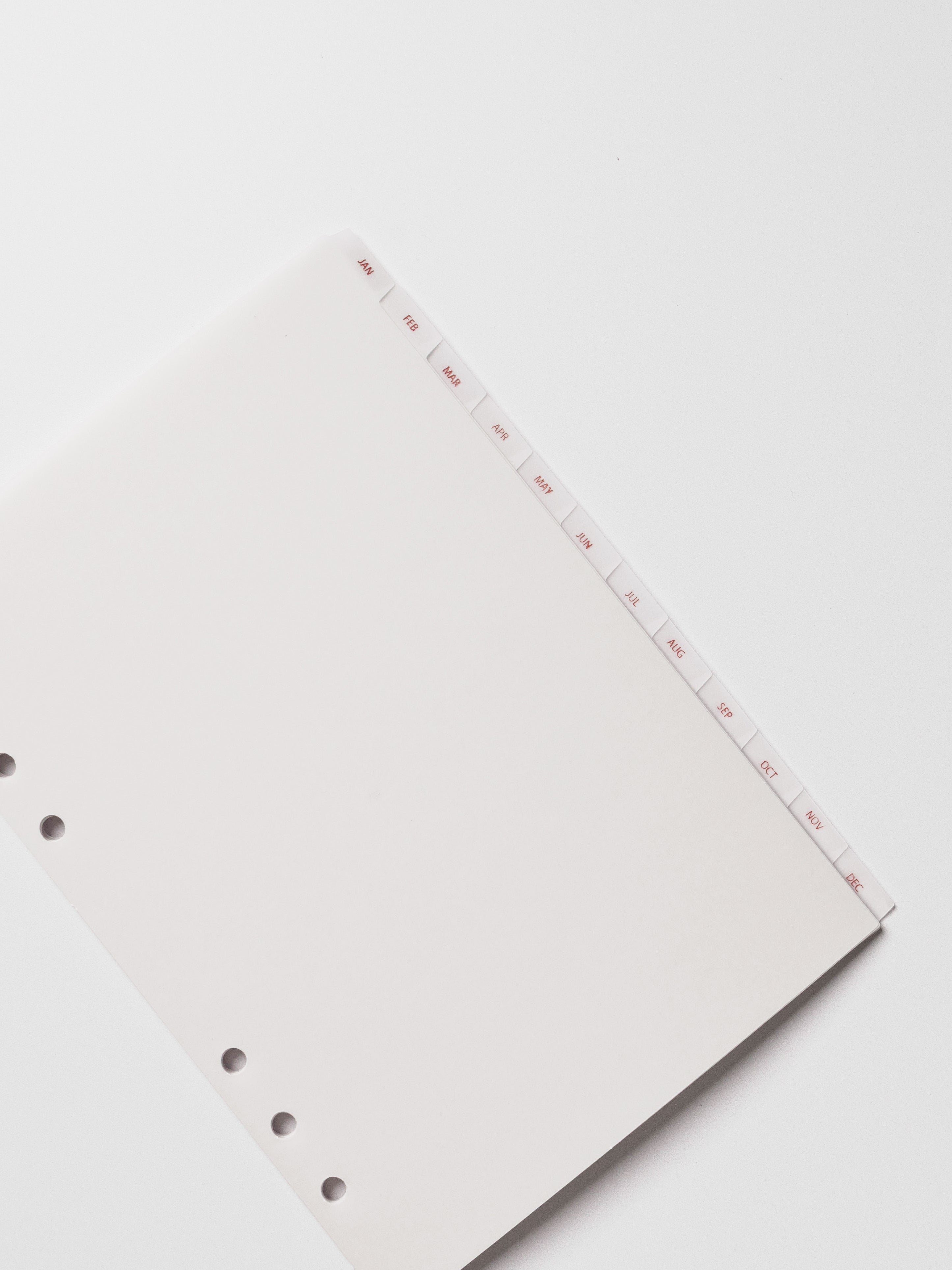 A5 vellum dividers shown on a neutral background.