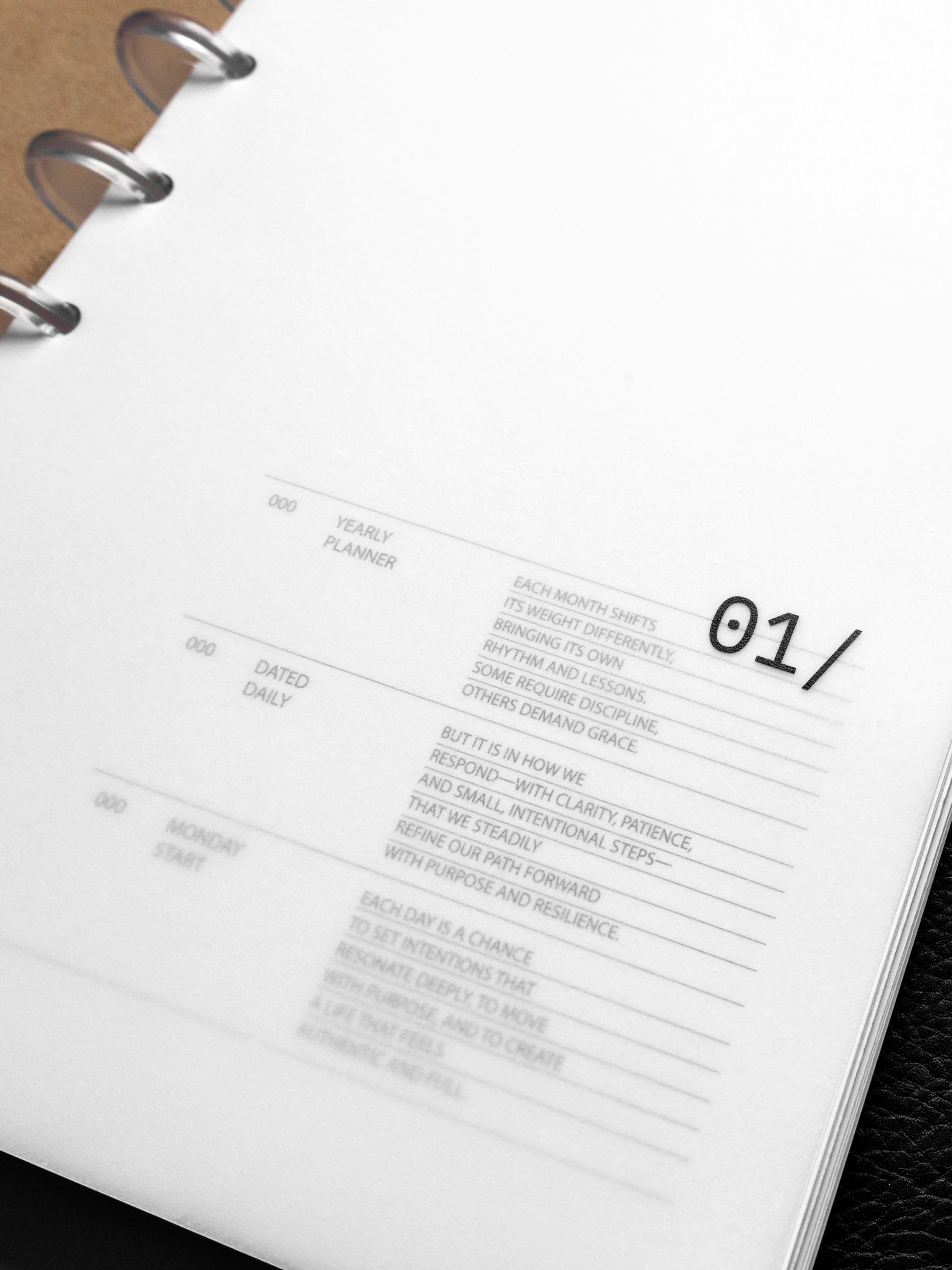 Image shows the January dashboard used in a Half Letter disc-bound planner.