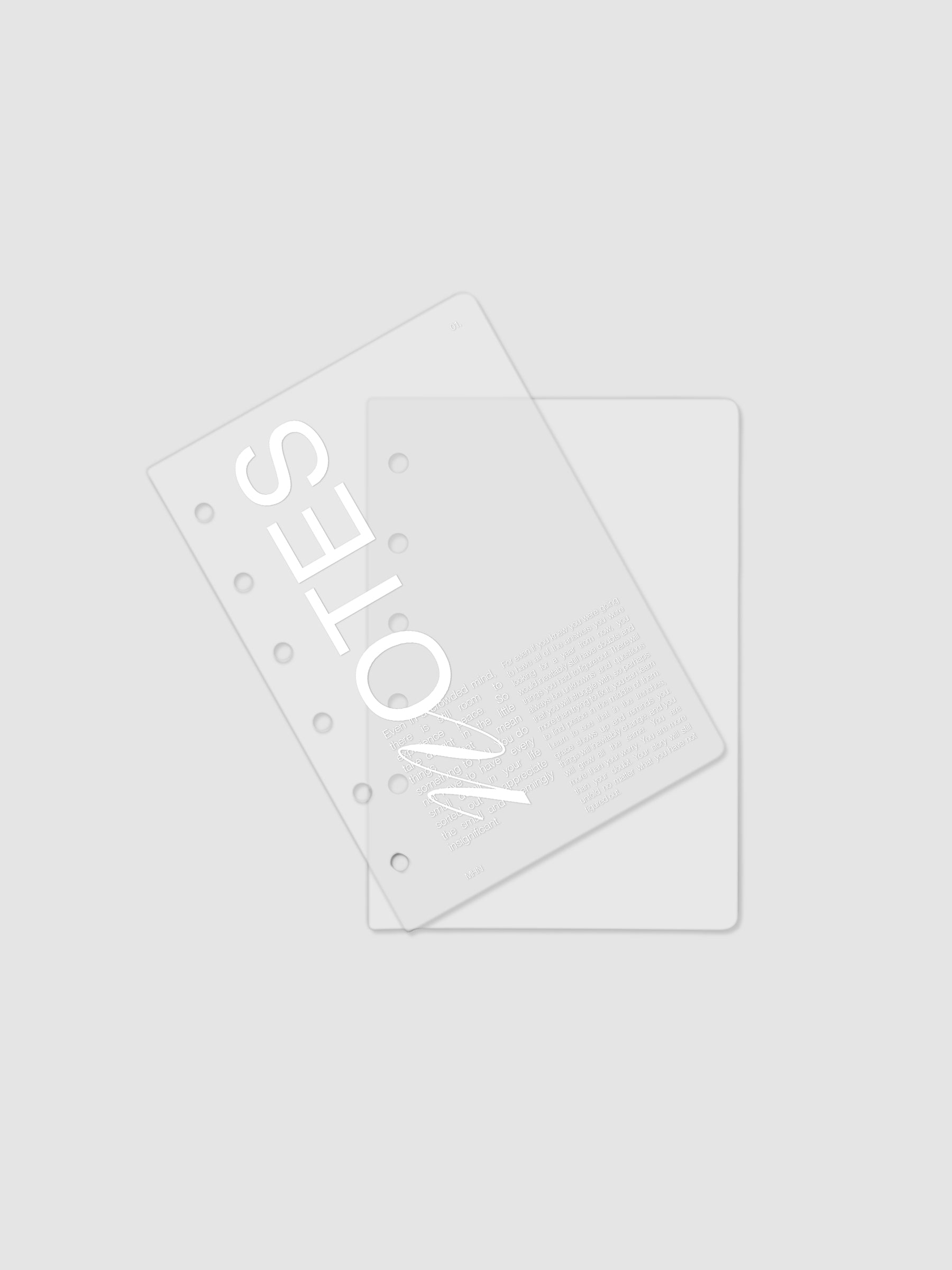 Clear plastic planner cover with white printed text shown pre-punched for Pocket 6-ring planners.