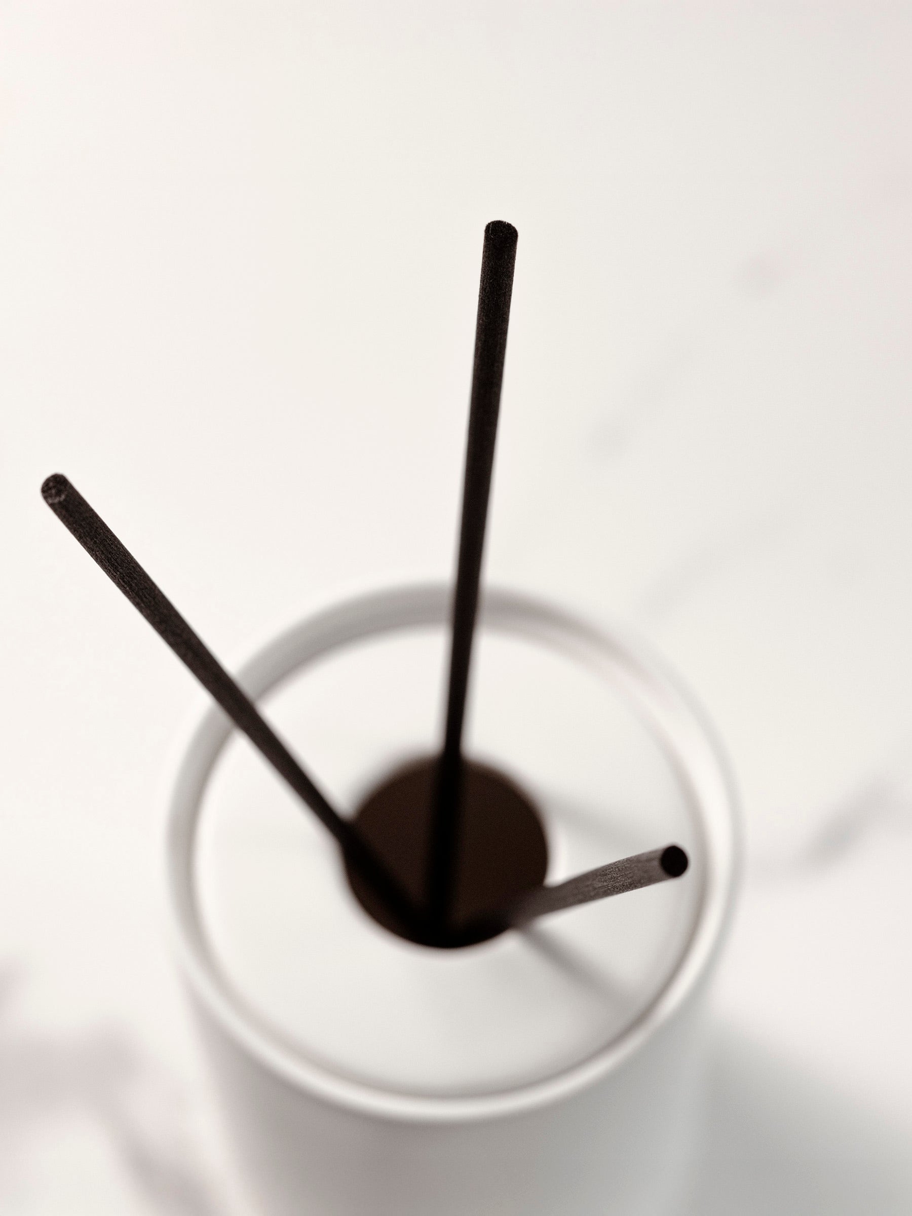 Top down view of reeds placed inside diffuser.