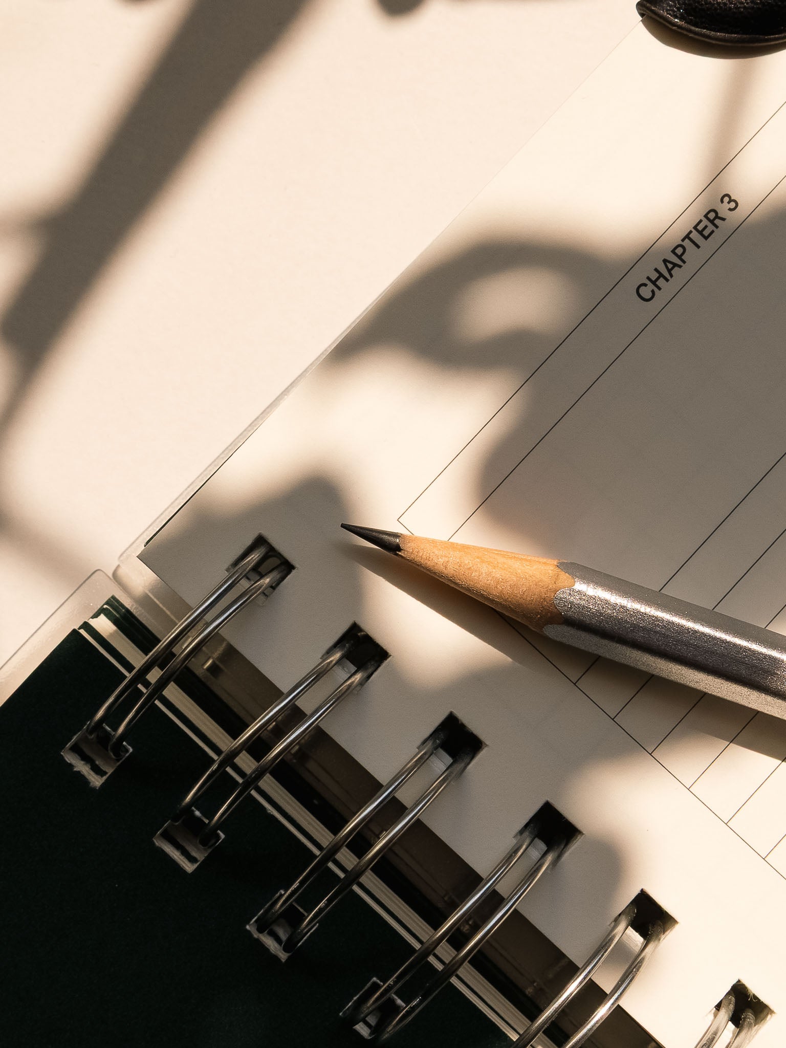 Diagonal close-up of a Blackwing 140 pencil laying on a planner page labeled "Chapter 3" under soft natural shadows.