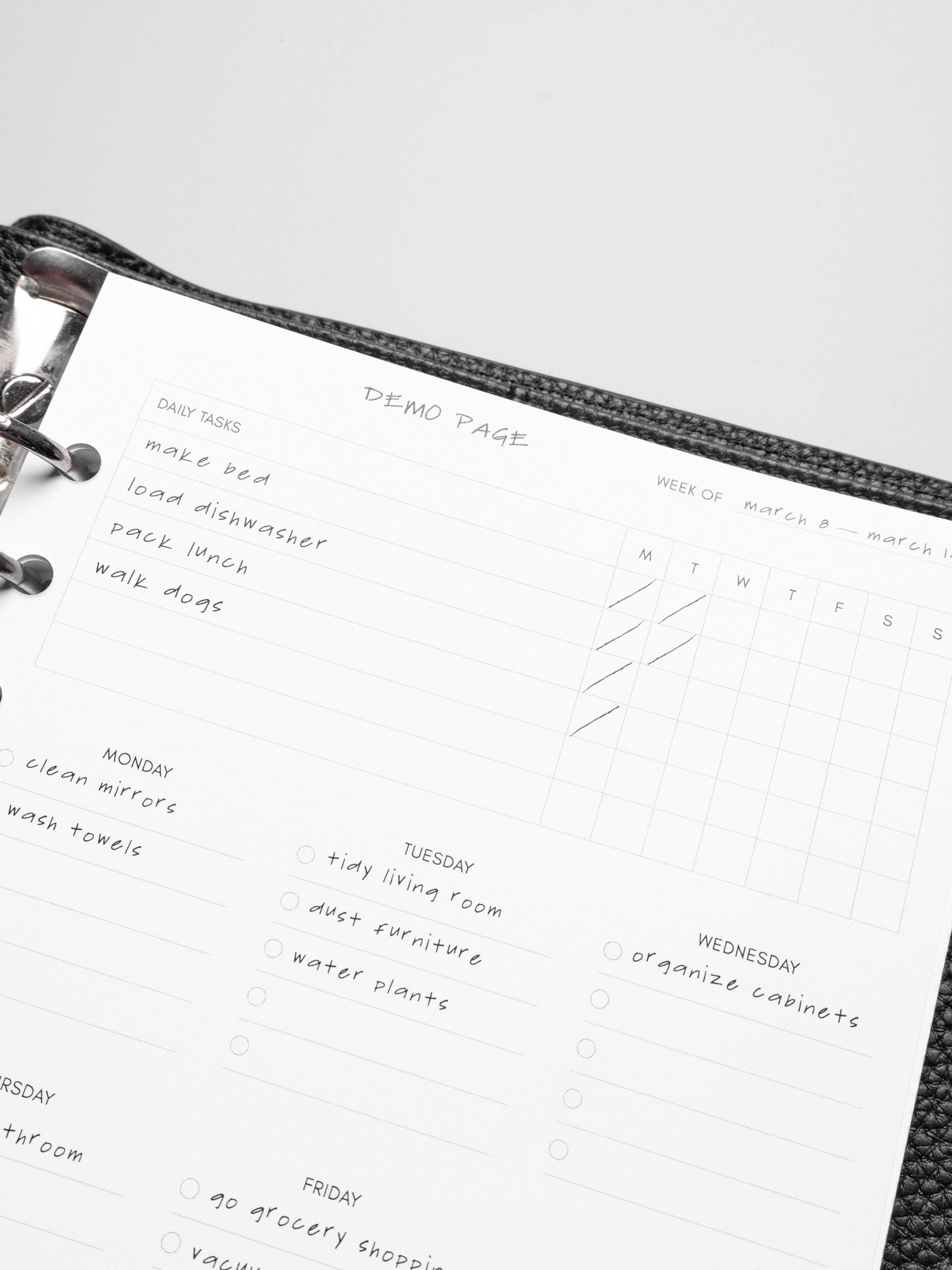 Insert in use inside a black leather planner.