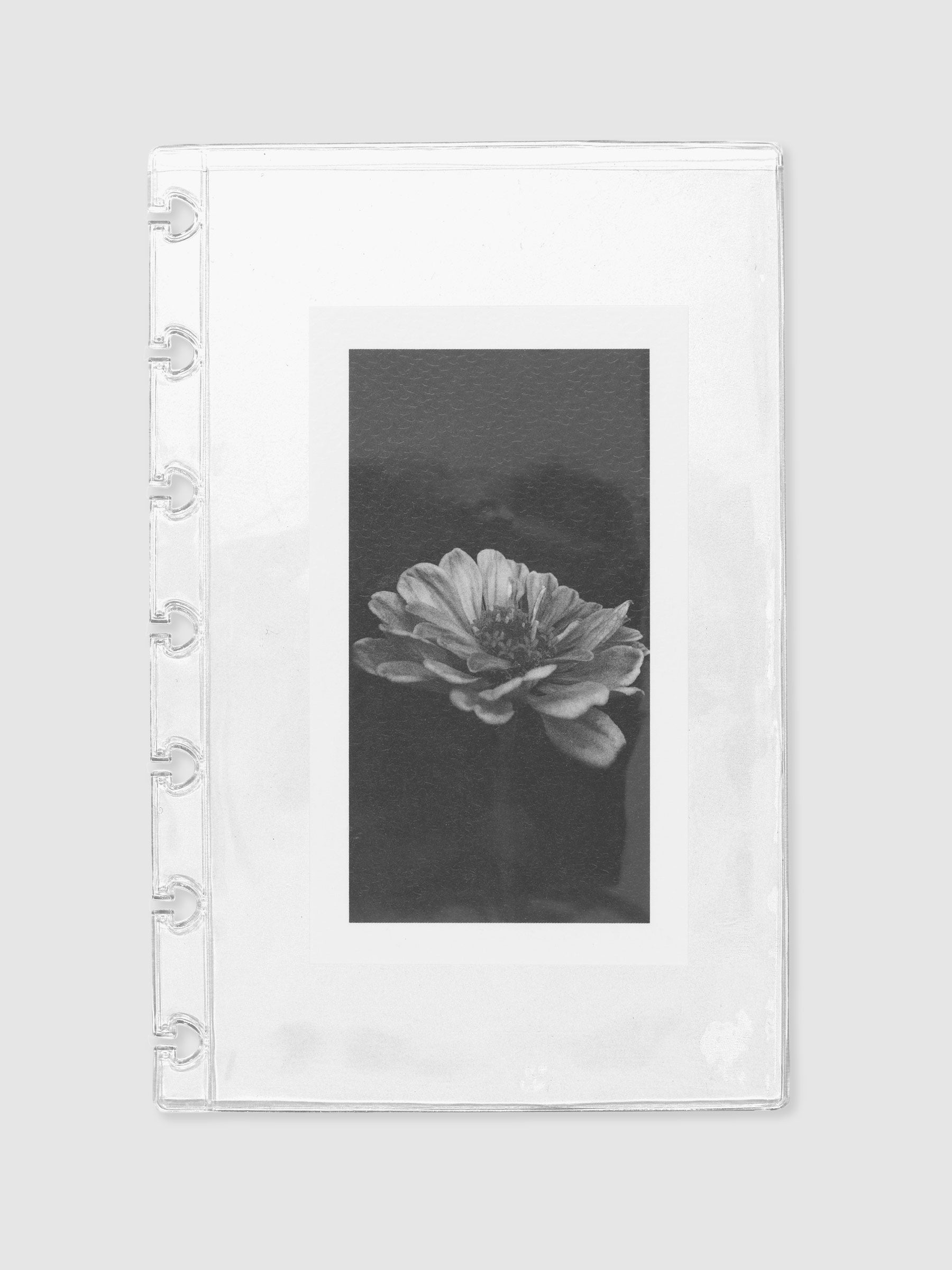 Document pocket displayed on a neutral background. A botanical card is displayed inside the pocket. Size shown is HP mini