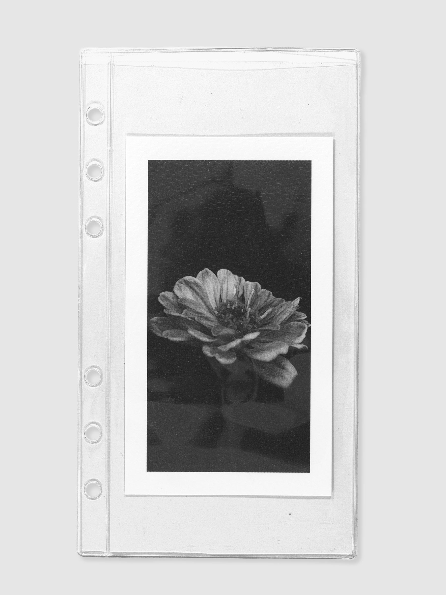 Document pocket displayed on a nuetral background. A botanical card is displayed inside the pocket. Size shown is Personal.
