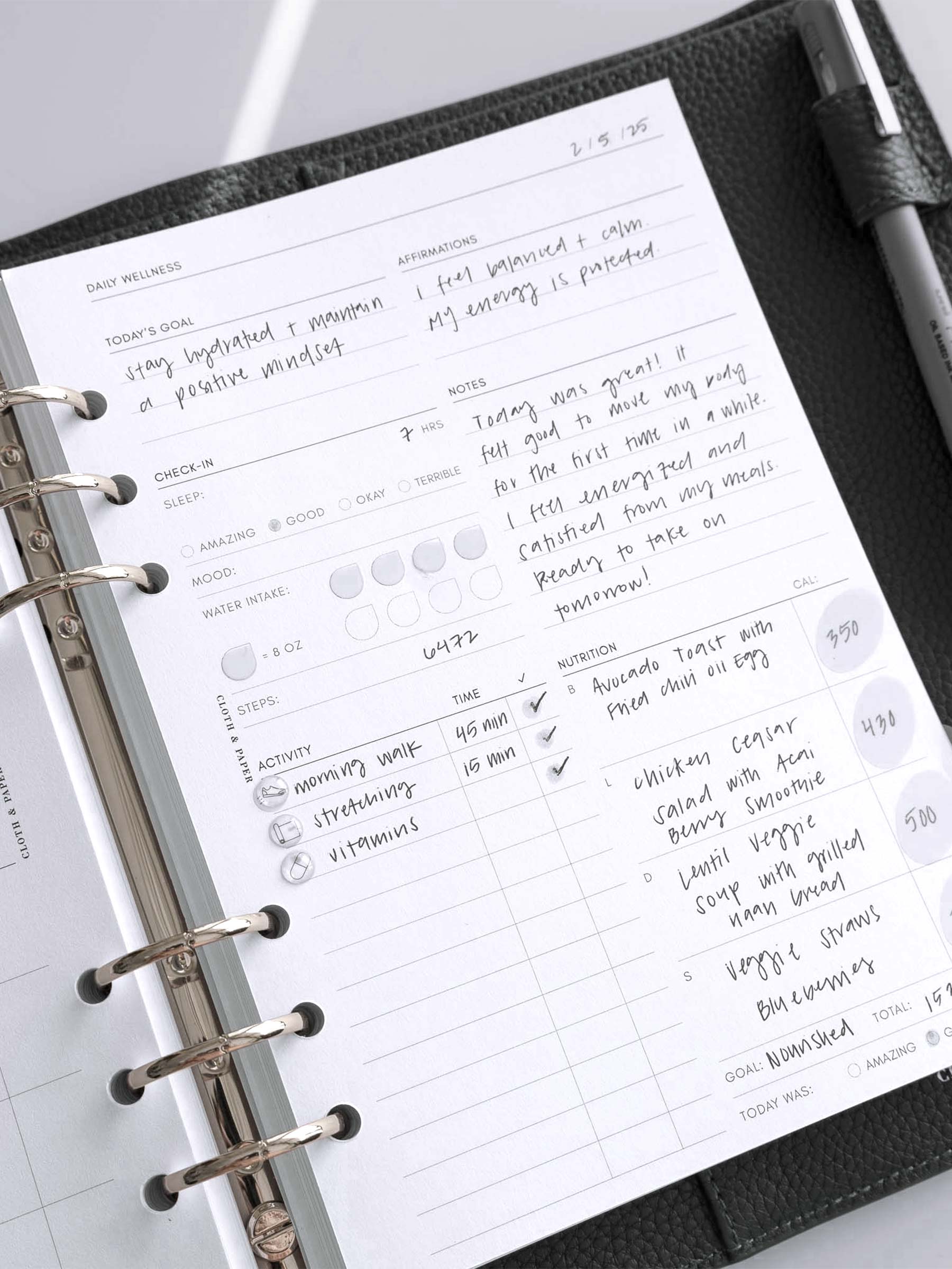 Insert in use inside a brown leather planner. The daily wellness sheet is filled out detailing the day's goals, affirmations, notes, activities, and nutrition. Planner stickers are also placed on the insert to highlight different notes and fields.