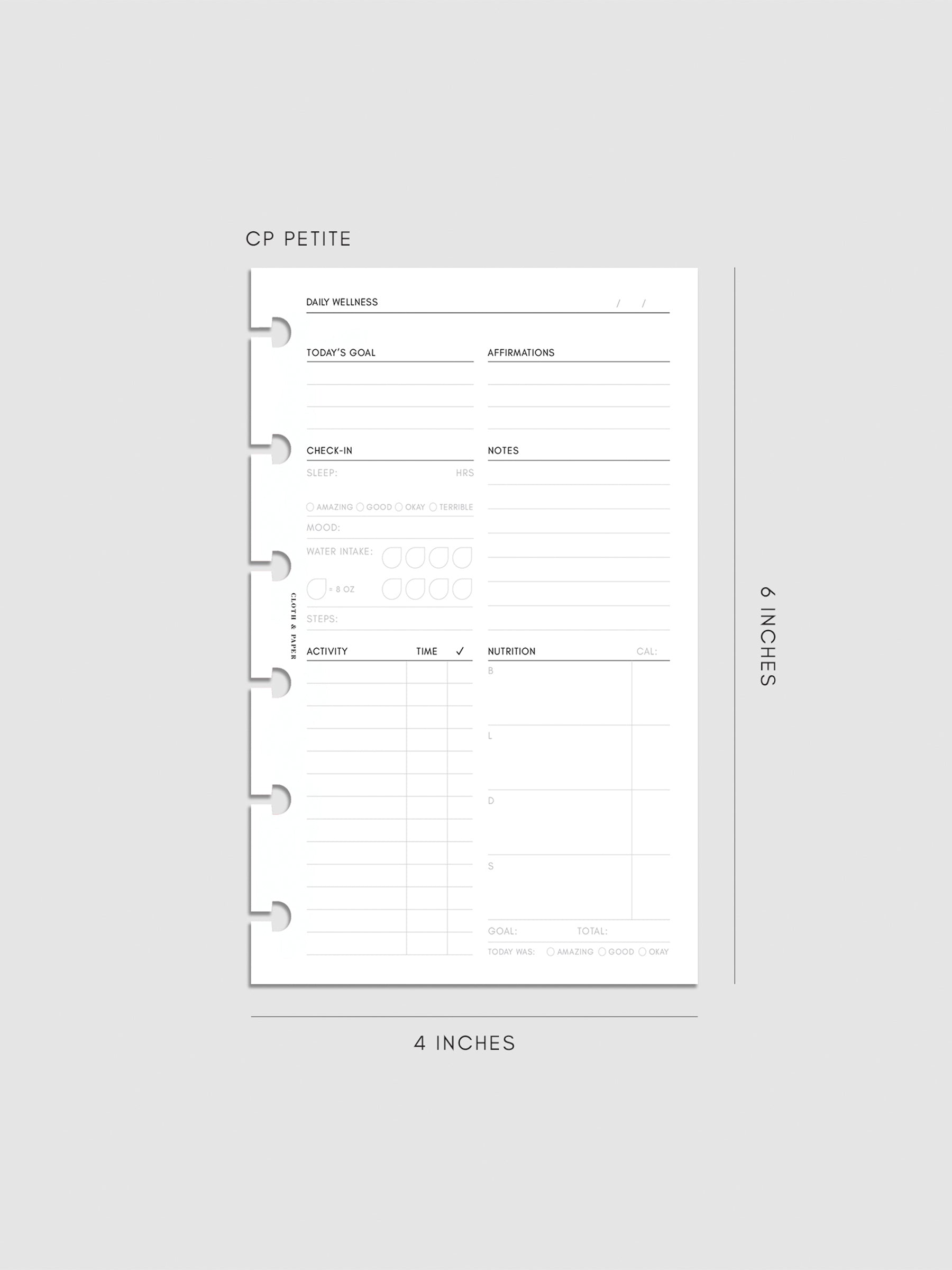 Digital mockup of insert in CP Petite.