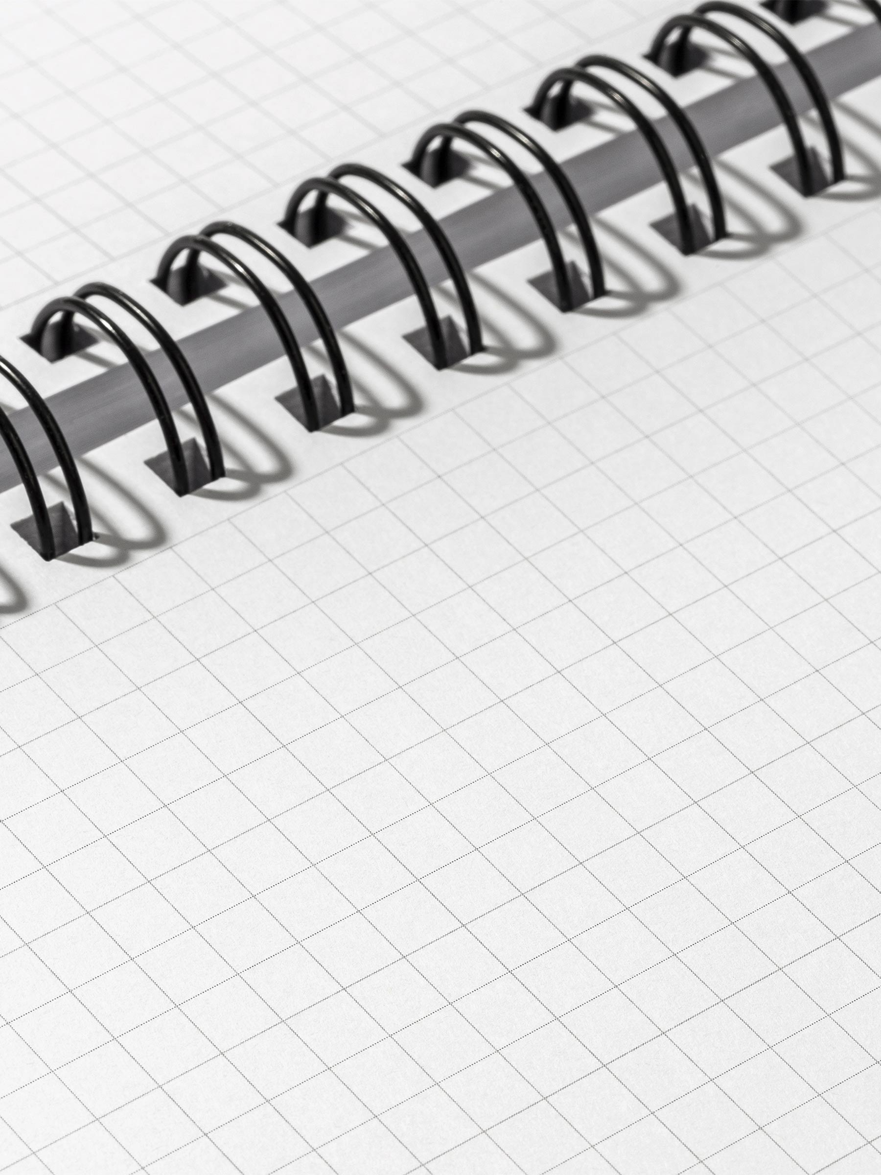 Closeup of graph paper inside Olive notebook.