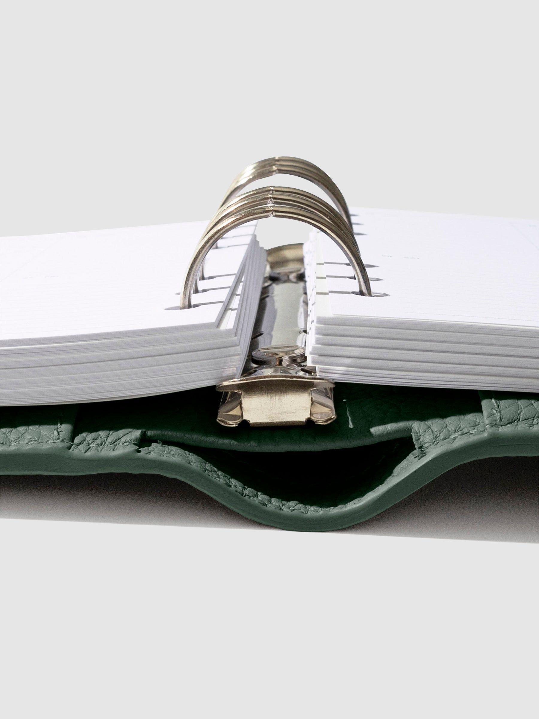 Close-up of the Cypress leather agenda ring mechanism.