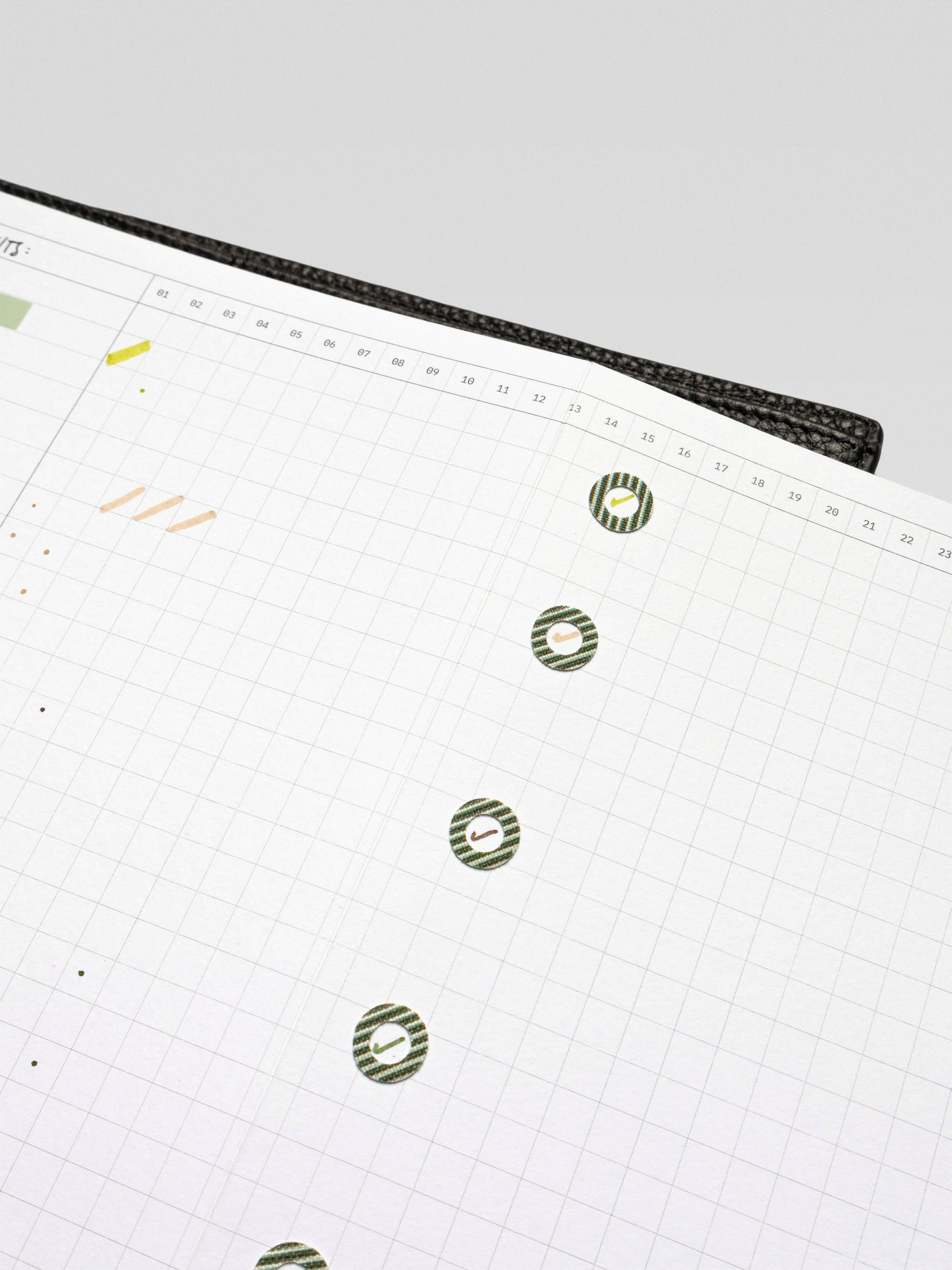 Close-up view of spotlight stickers used in the Habits Fold Out Planner Insert to mark completed days, with pinstripe green sticker details clearly visible.