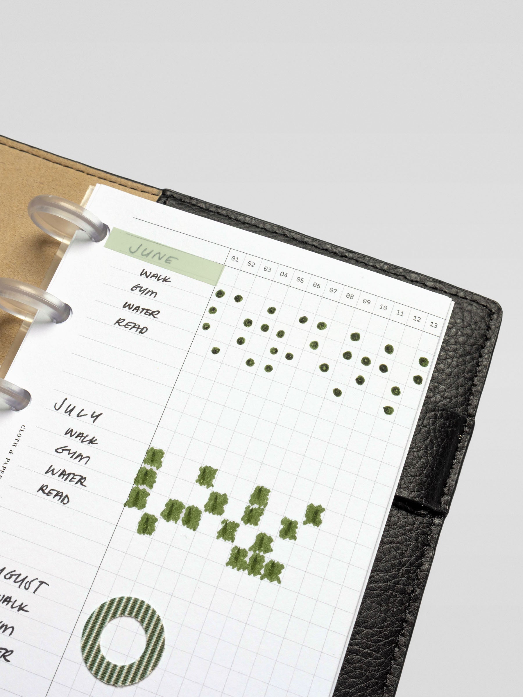 Close-up of CP Petite Habits Fold Out Planner Insert showing detailed grid with green ink dots used to mark habit tracking over multiple days.