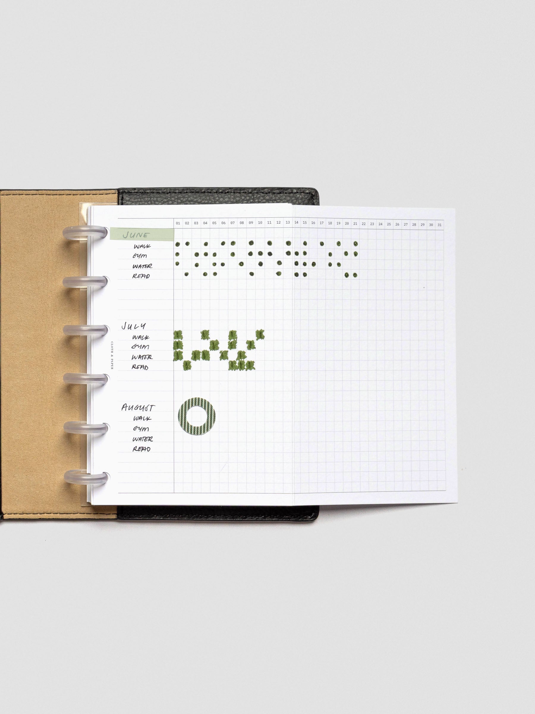 Wide open view of CP Petite Habits Fold Out Planner Insert inside a discbound planner, with habit tracking grids filled in for June through August.