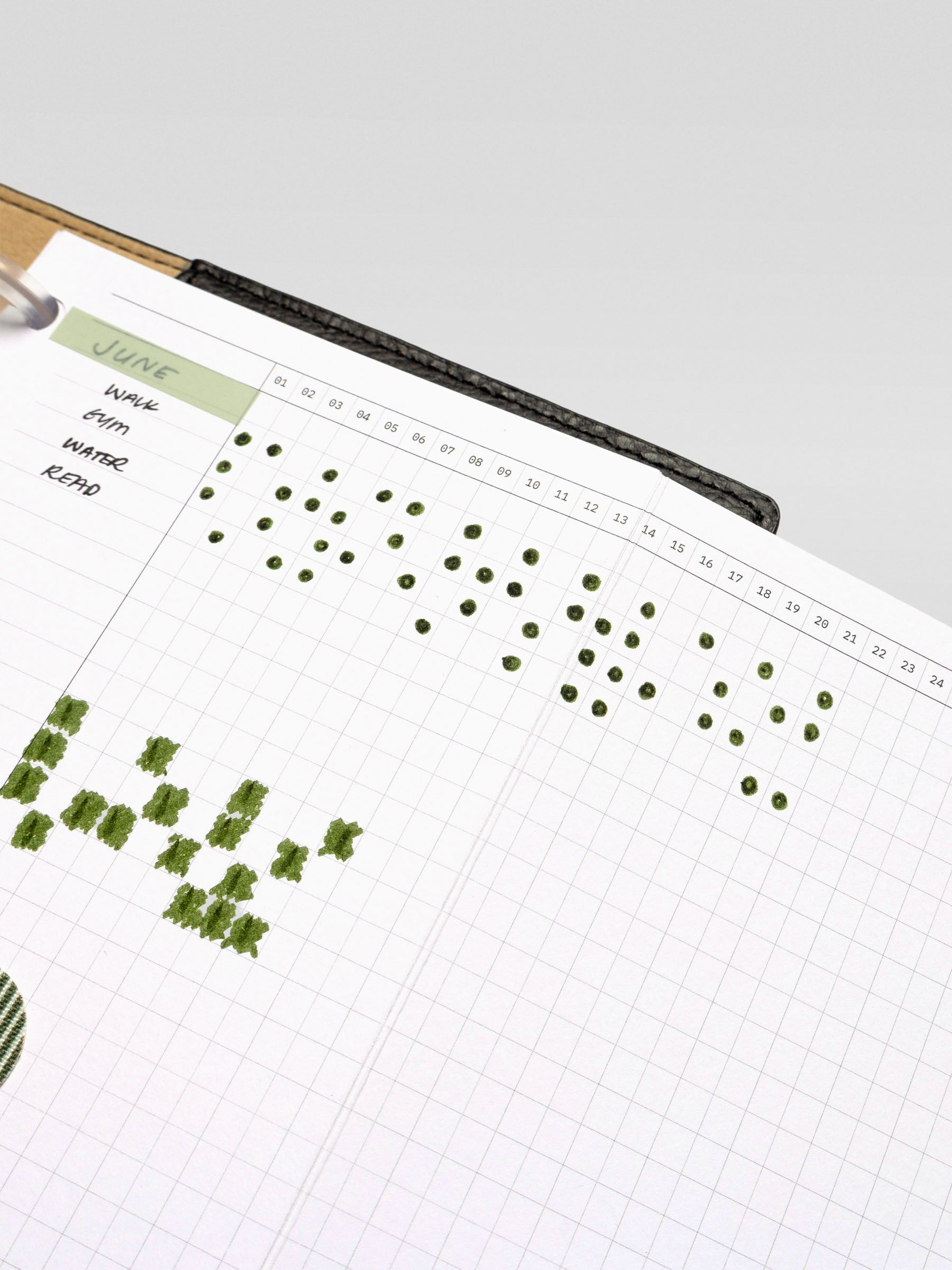 Close-up of the CP Petite Habits Fold Out Planner Insert showing detailed habit tracking across the monthly grid with consistent green pen markings.