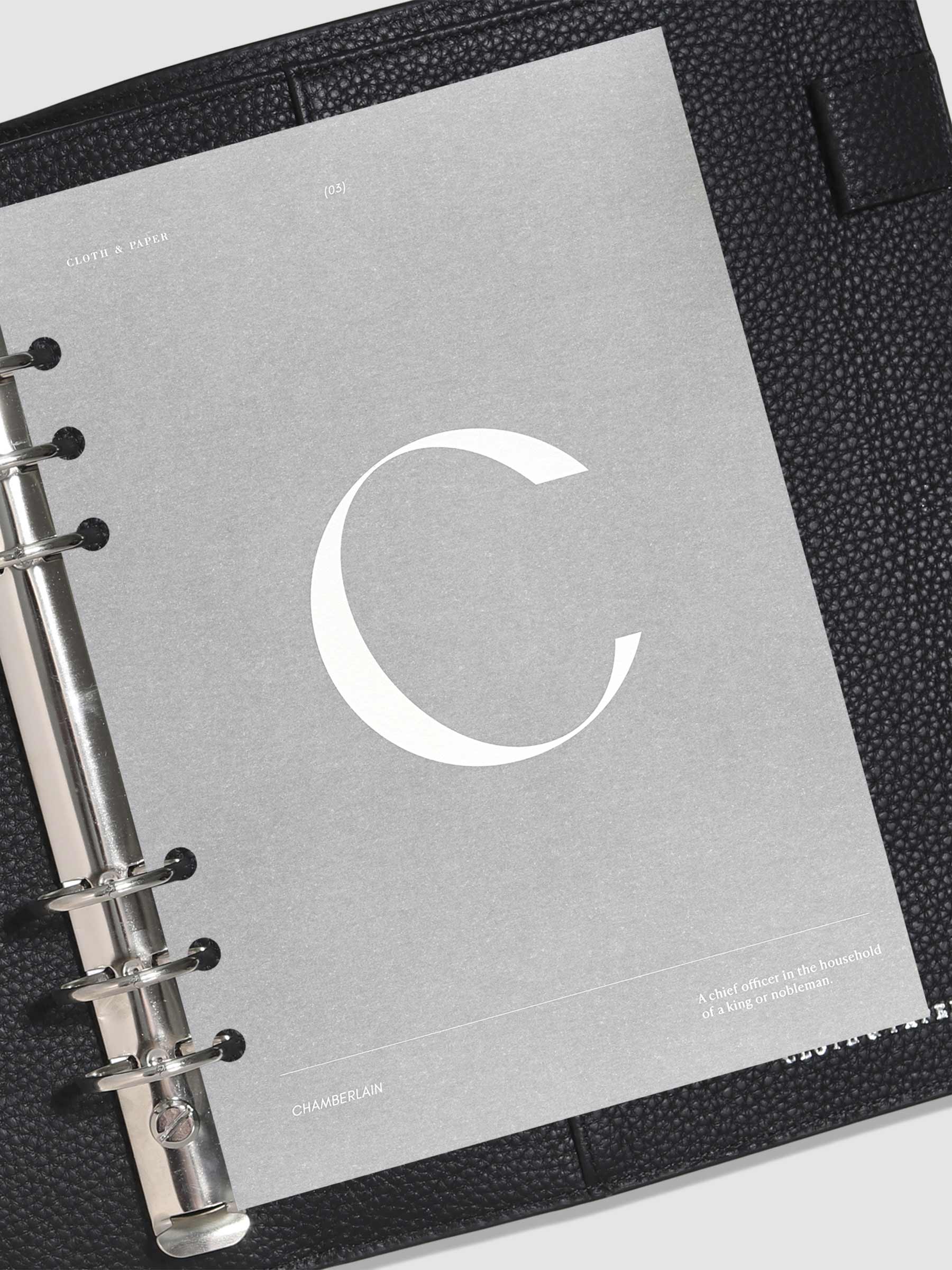 Monogram Vellum Planner Dashboard C in use in a leather planner.